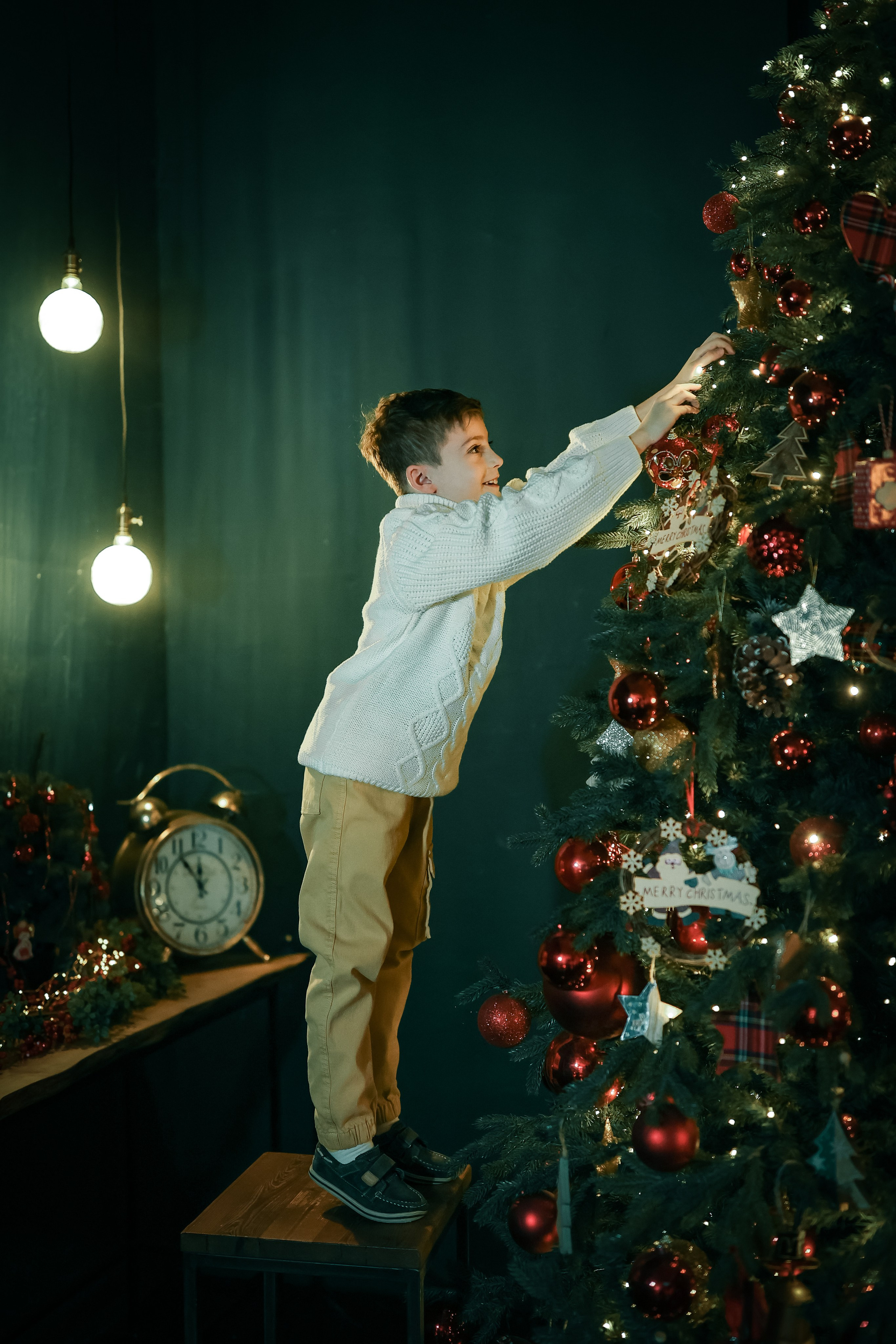 Новогодние фотосессии в студии и дома. Профессиональный фотограф в Москве, Подмосковье