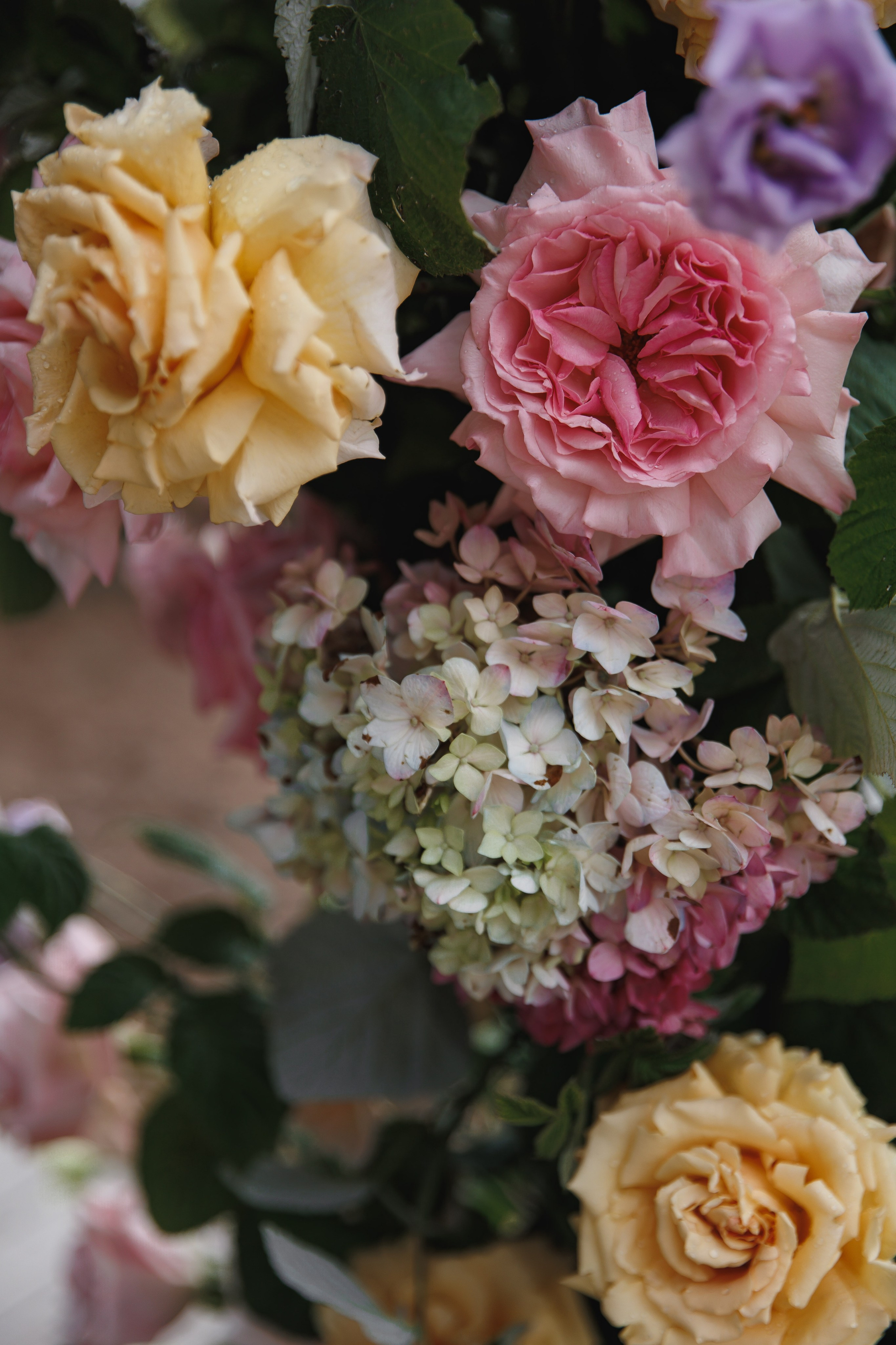 Анастасия и Максим. Свадебный фотограф в Санкт-Петербурге, Москве, Европе и по всему миру