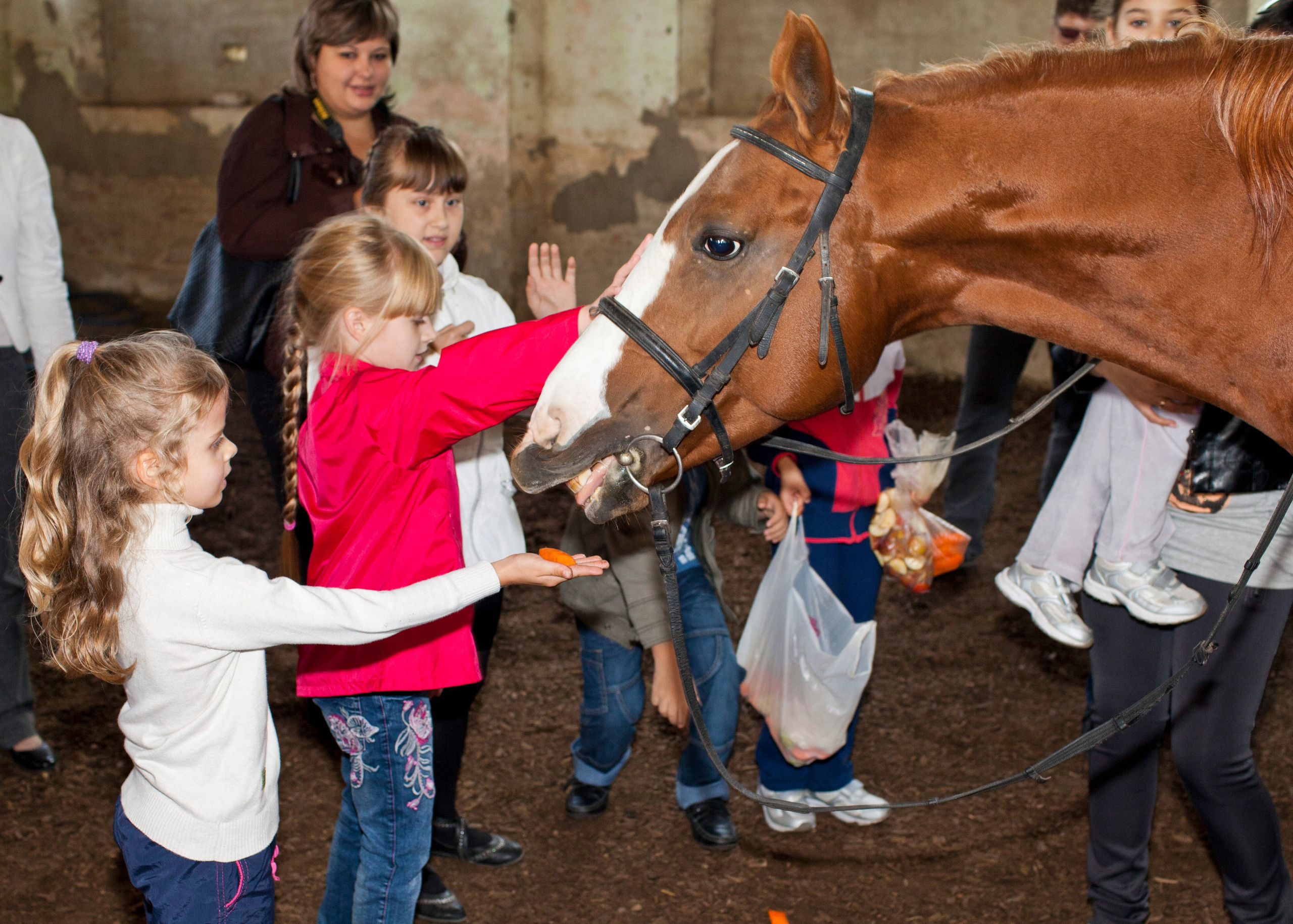 Фотосессия детей с животными. Медиапродюсер, фотограф в Минеральных Водах —Виктор Холодов