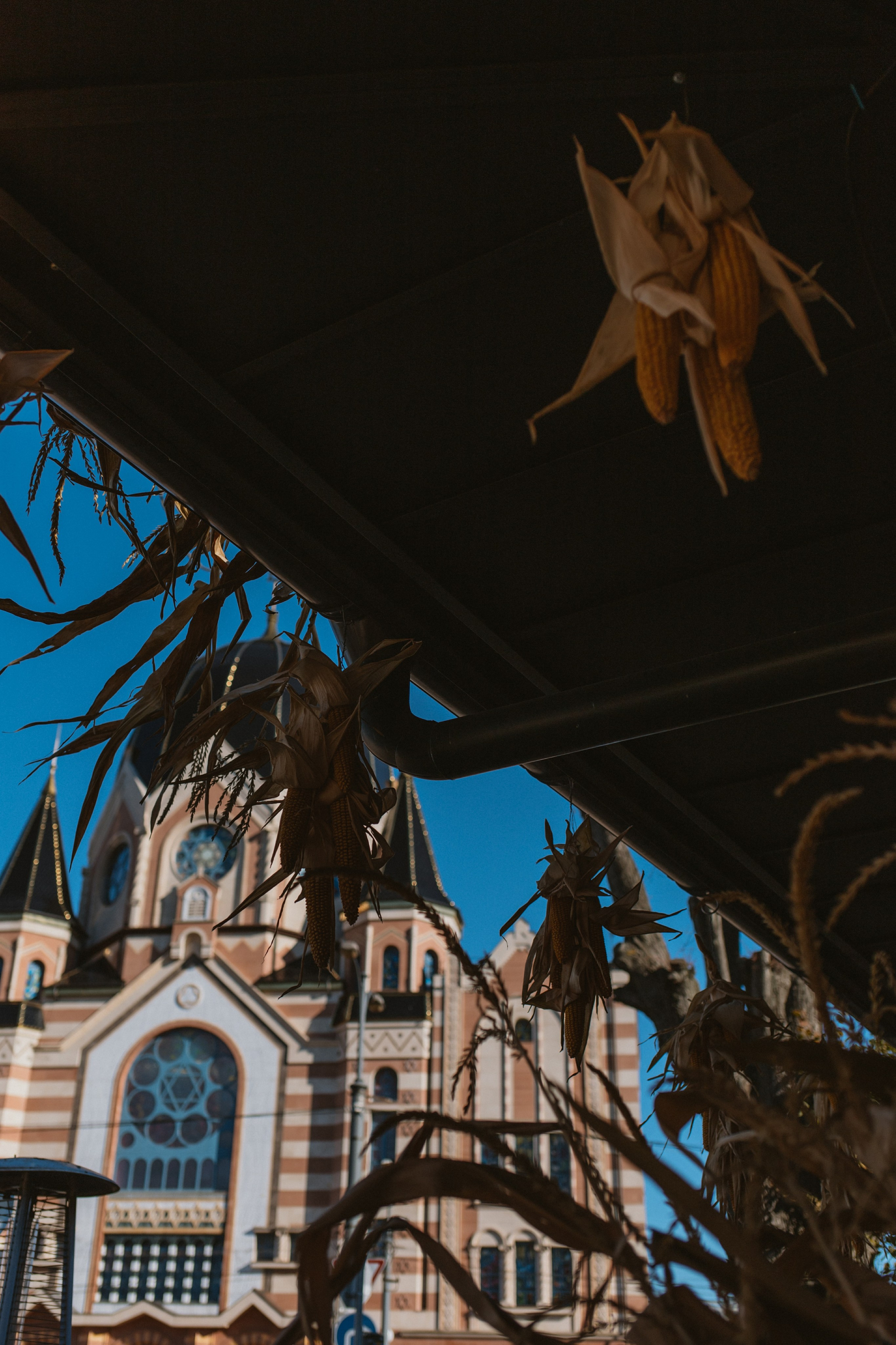 Анастасия и Богдан