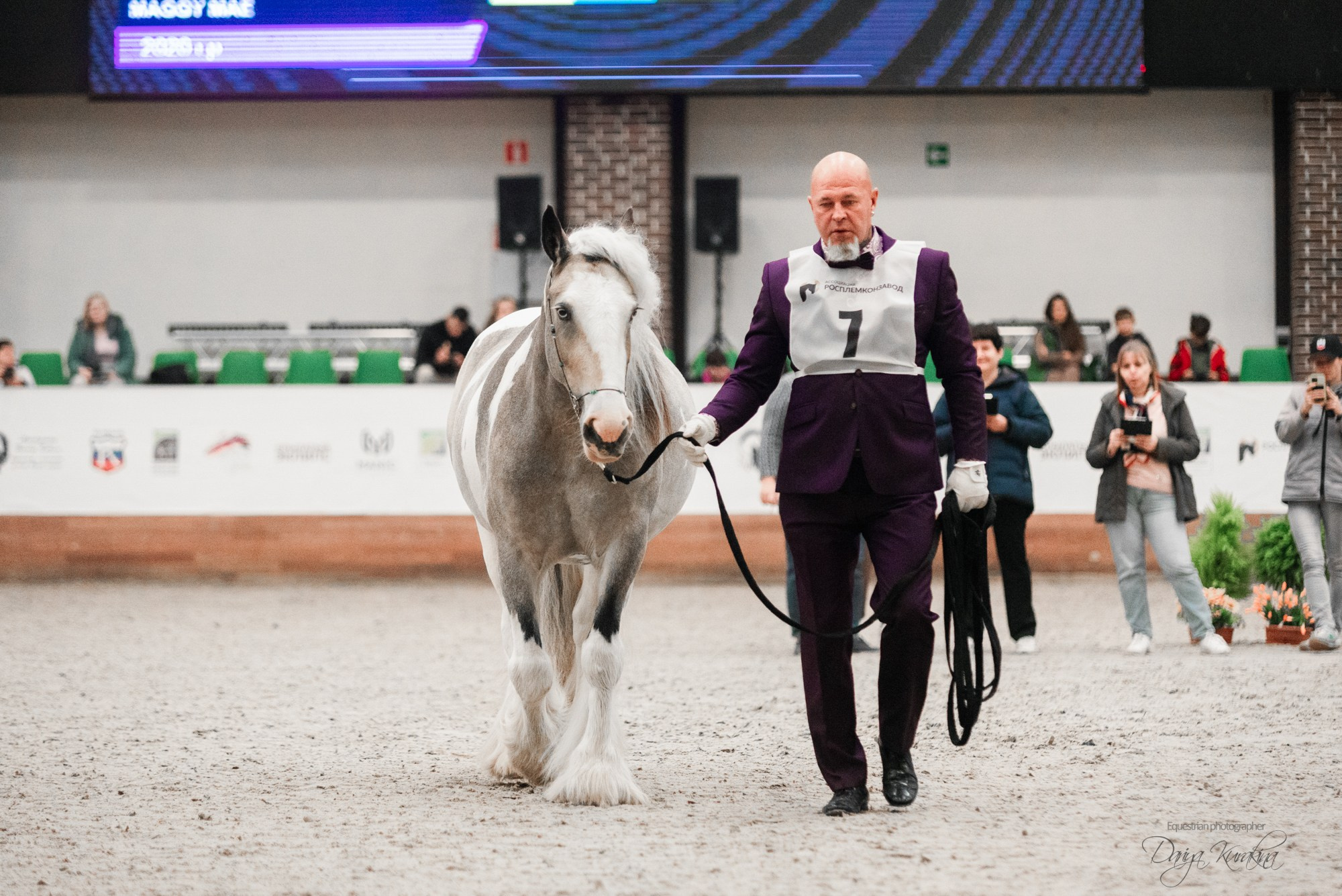 8-я международная выставка Конная Россия. Конный фотограф Куракина Дарья • Фотосессии с лошадьми
