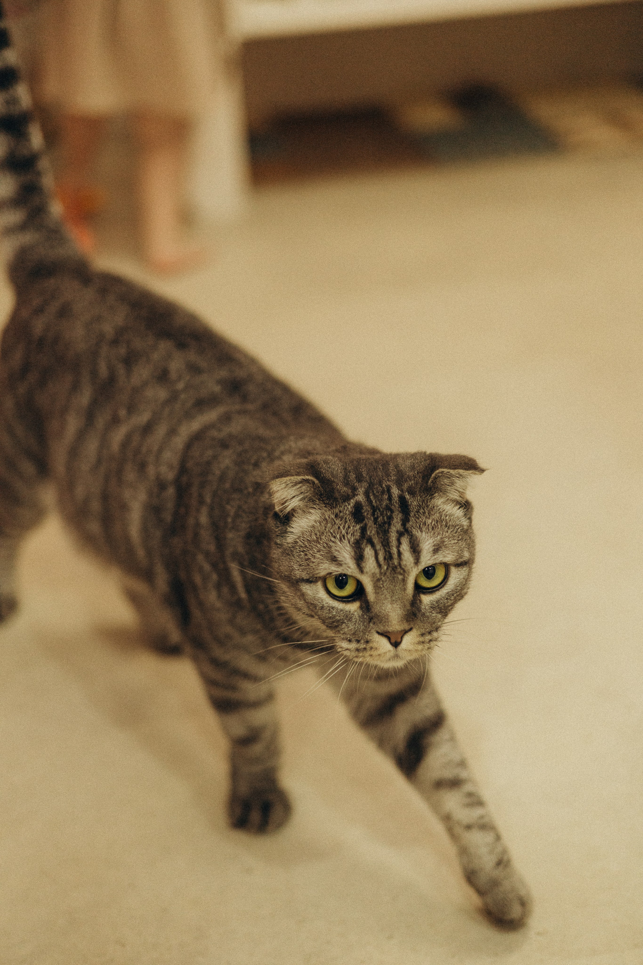 Дом там, где любовь♡. Фотограф в г. Чита