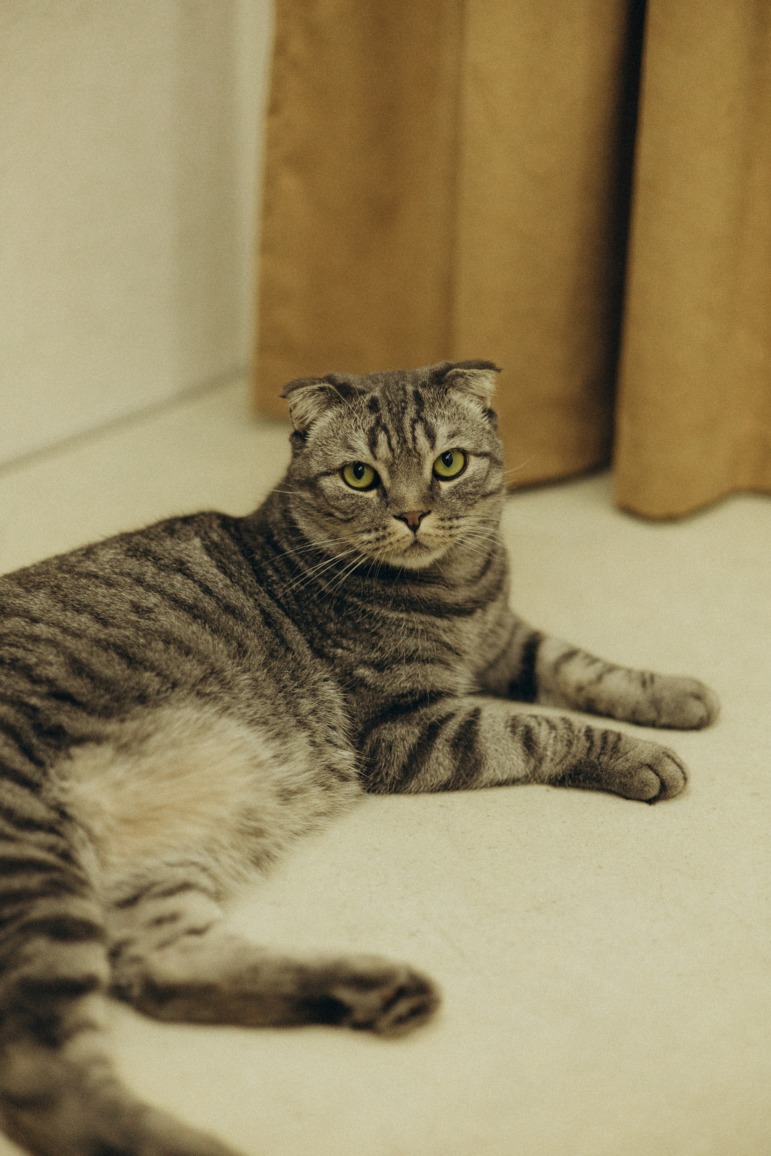 Дом там, где любовь♡. Фотограф в г. Чита