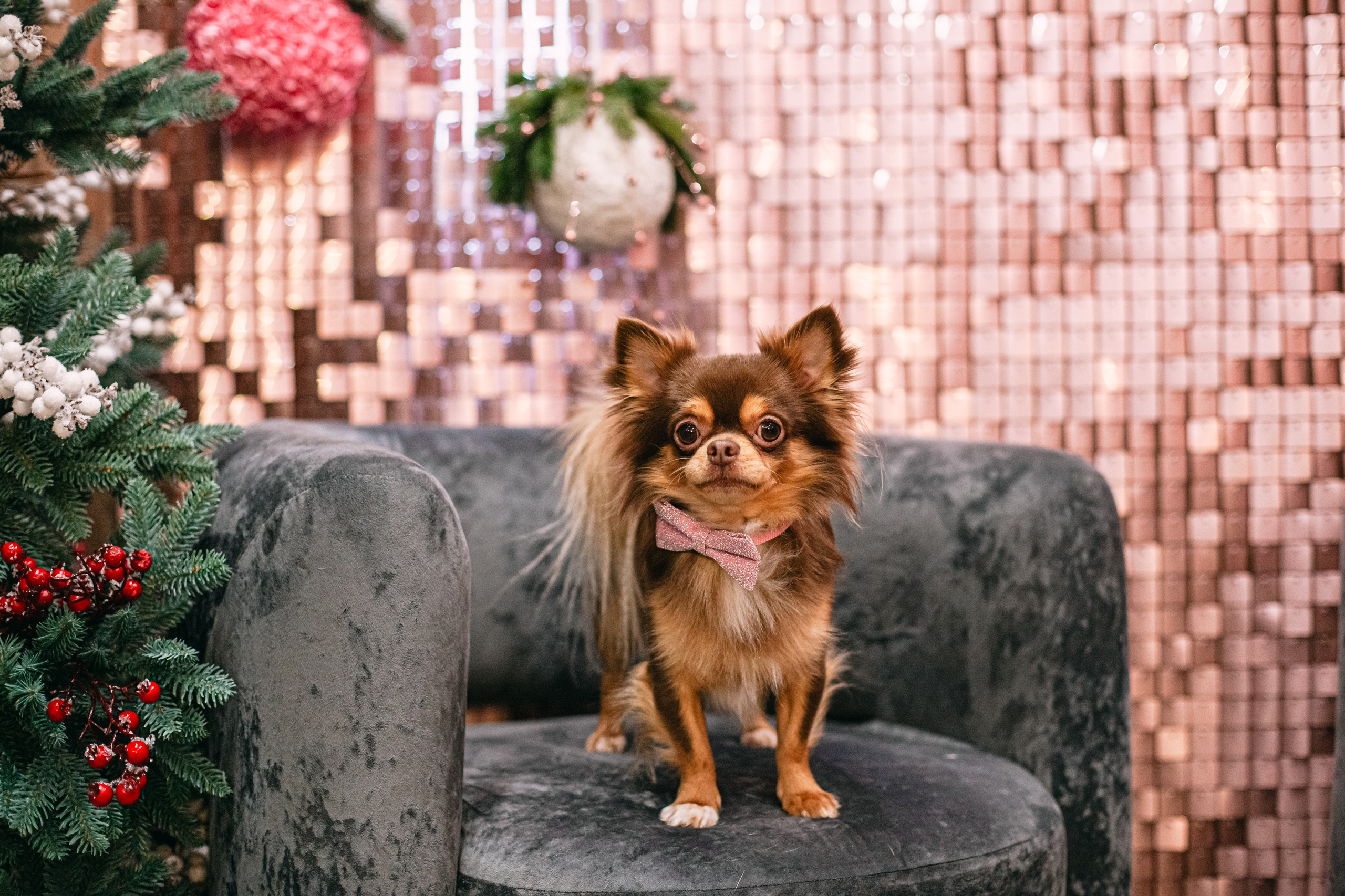 Бульёлка 2024. Фотограф-анималист Татьяна Степанова