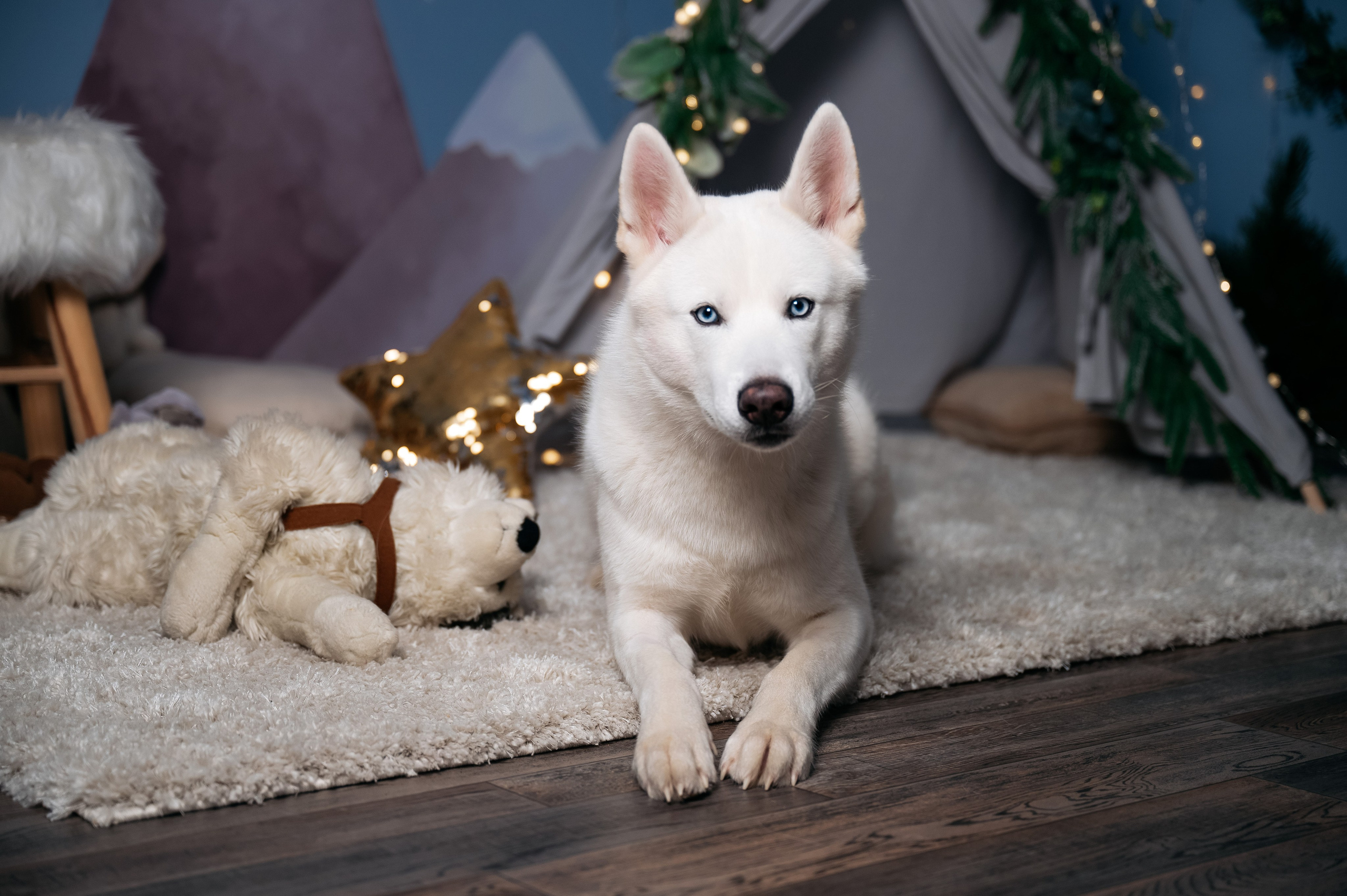Дарья. Ваш фотограф в г. Петропавловске-Камчатском Арина Алексеева