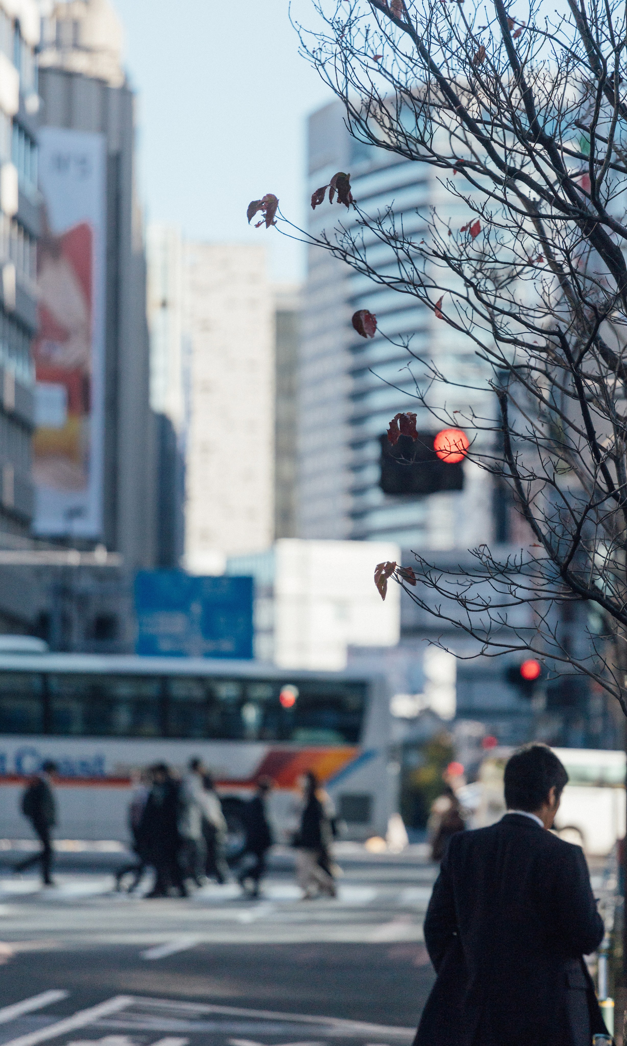 Япония. Главная