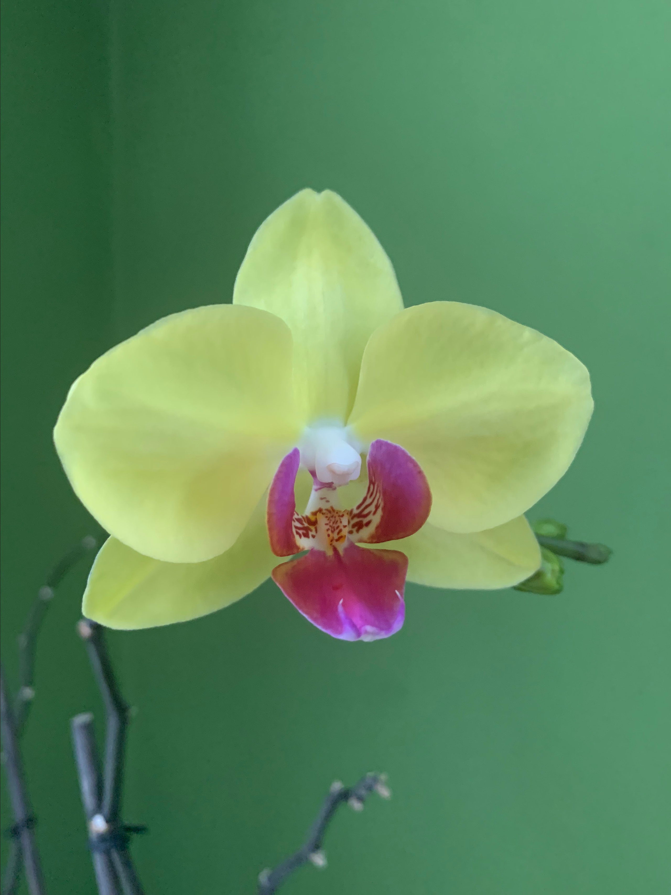 Отзывы. Фотограф Любовь Корниенко, Примоский край