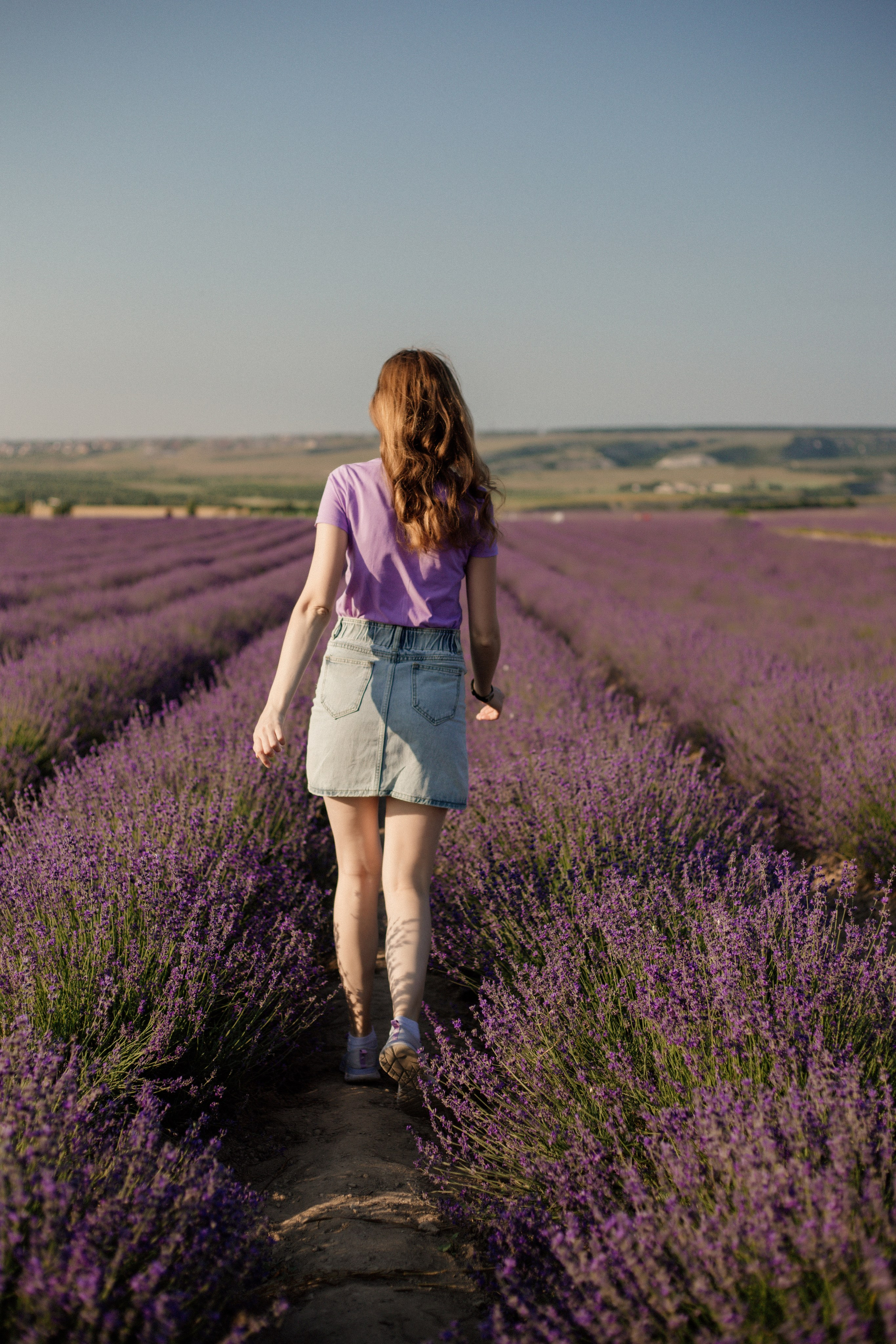 Лаванда. Фотограф и Видеограф Севастополь Крым
