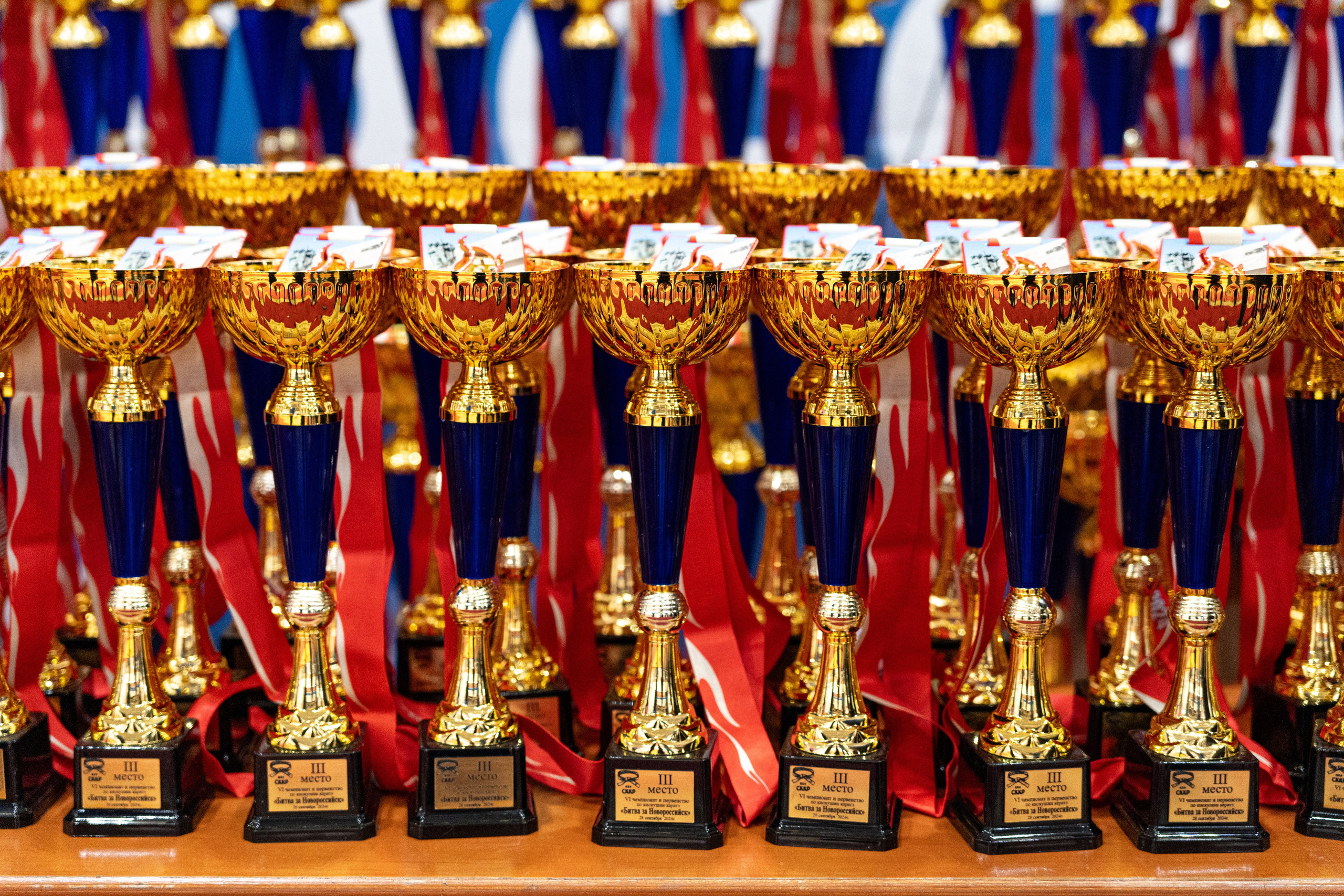 Репортажная съемка соревнований по каратэ. Профессиональный фотограф Геленджик, Новоросийск Виктория Цейс