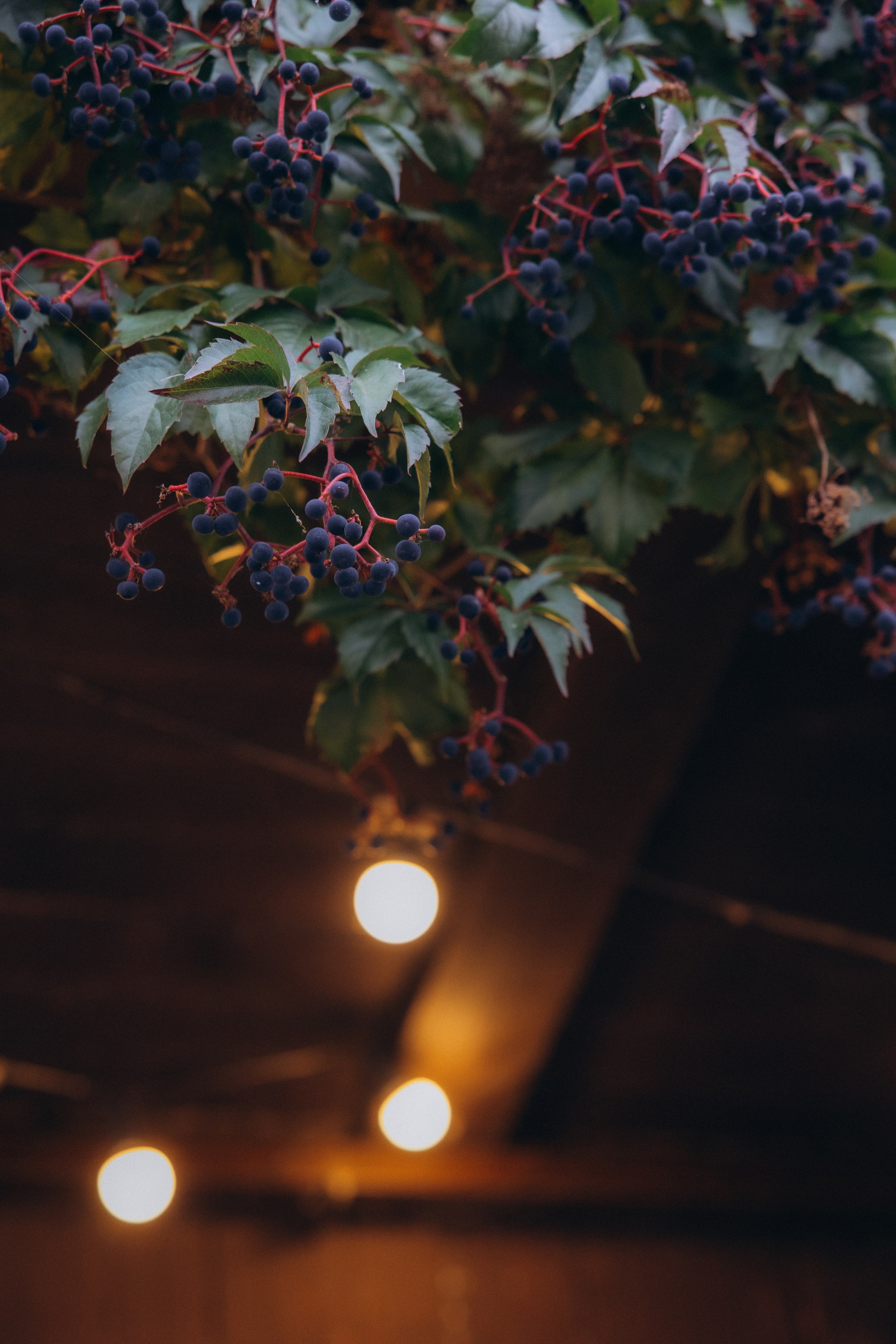 Алена и Антон. Алена Бадамшина — свадебный фотограф Воронеж / Москва