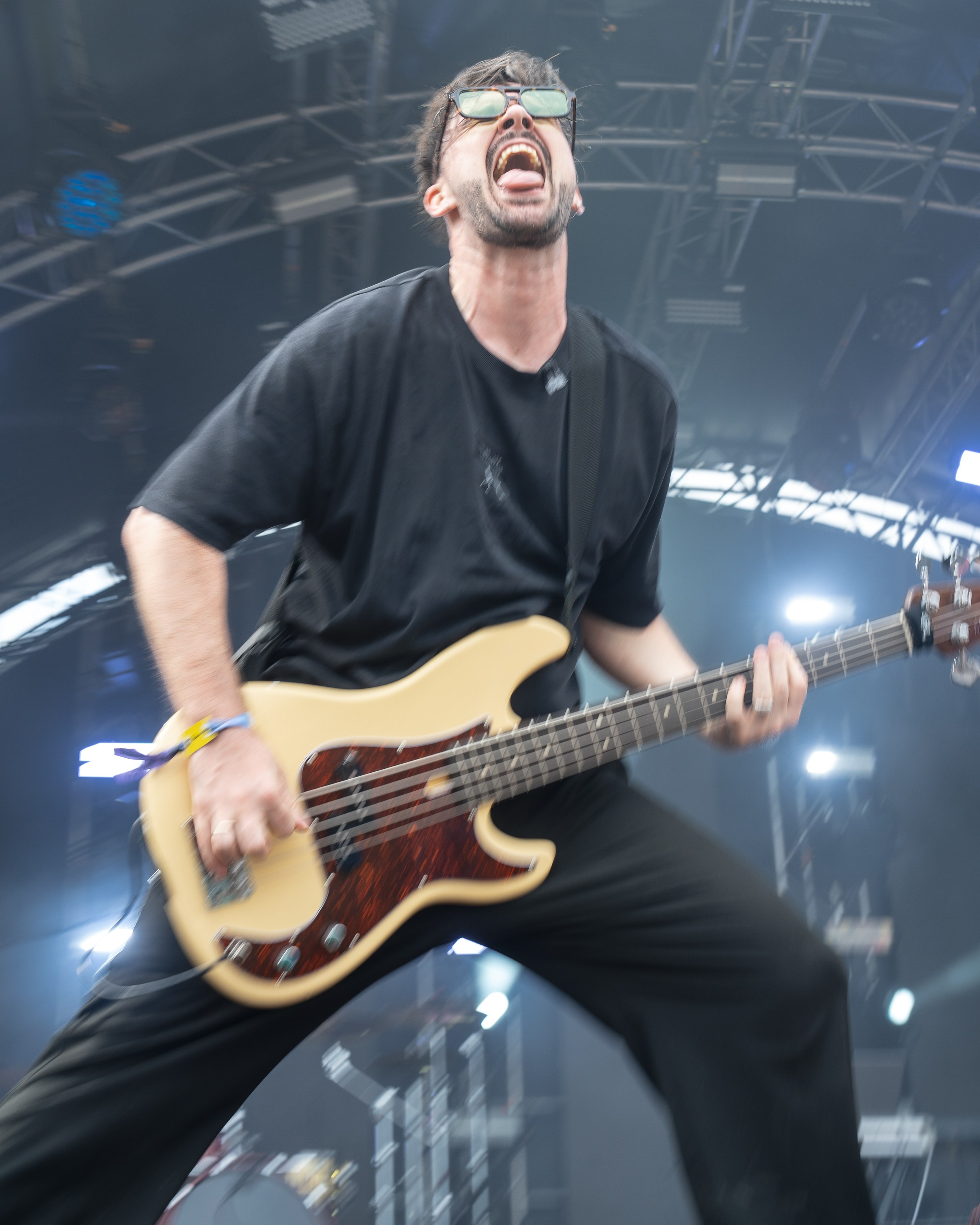 Фотографии музыкального фестиваля Дикая Мята 2025. Фотограф Николай Прокофьев модельные тесты в Москве