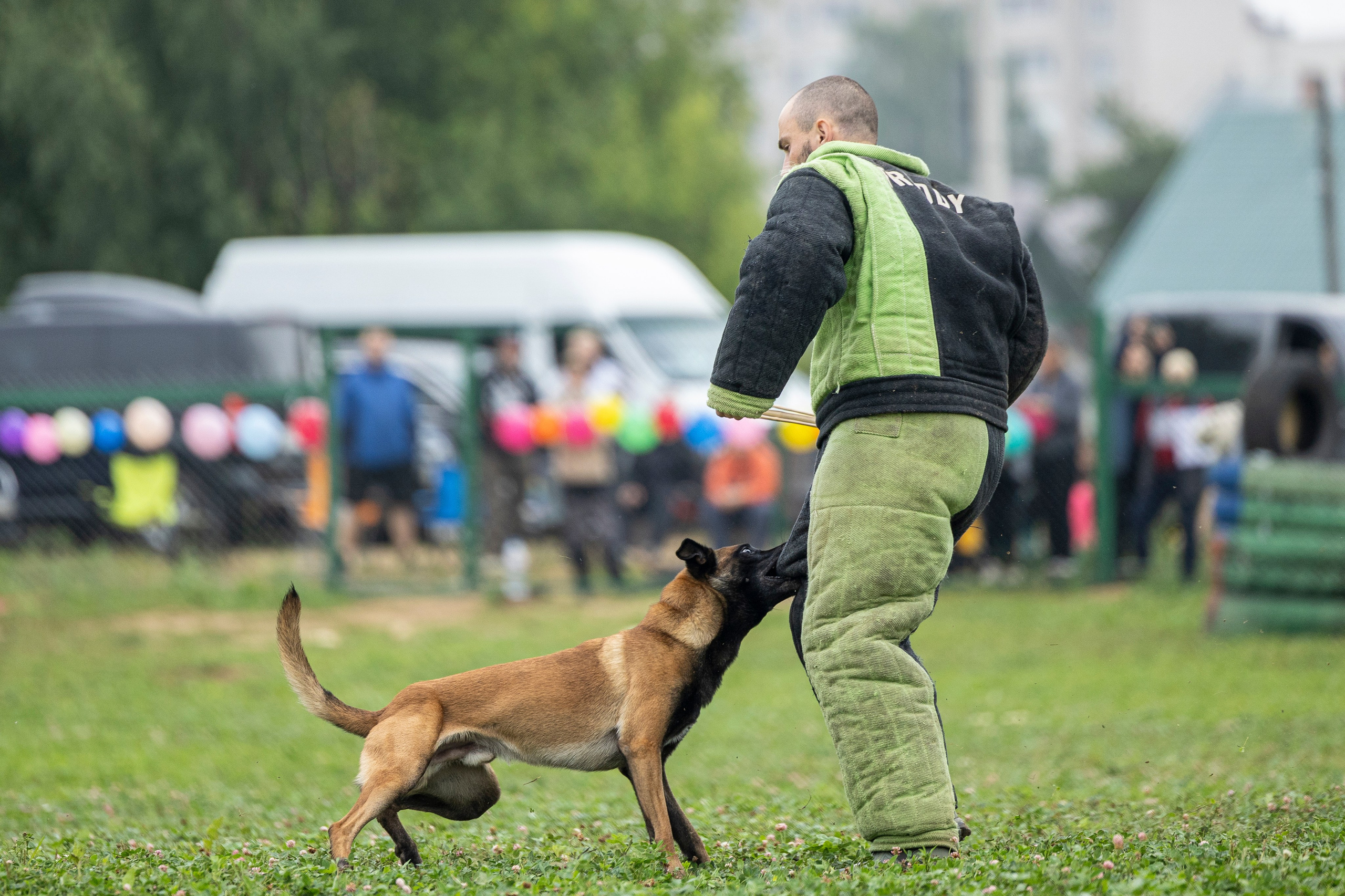 Соревнования по Мондьорингу г. Вологда 10-11.08.2024. Фотограф-анималист Анна Маринич