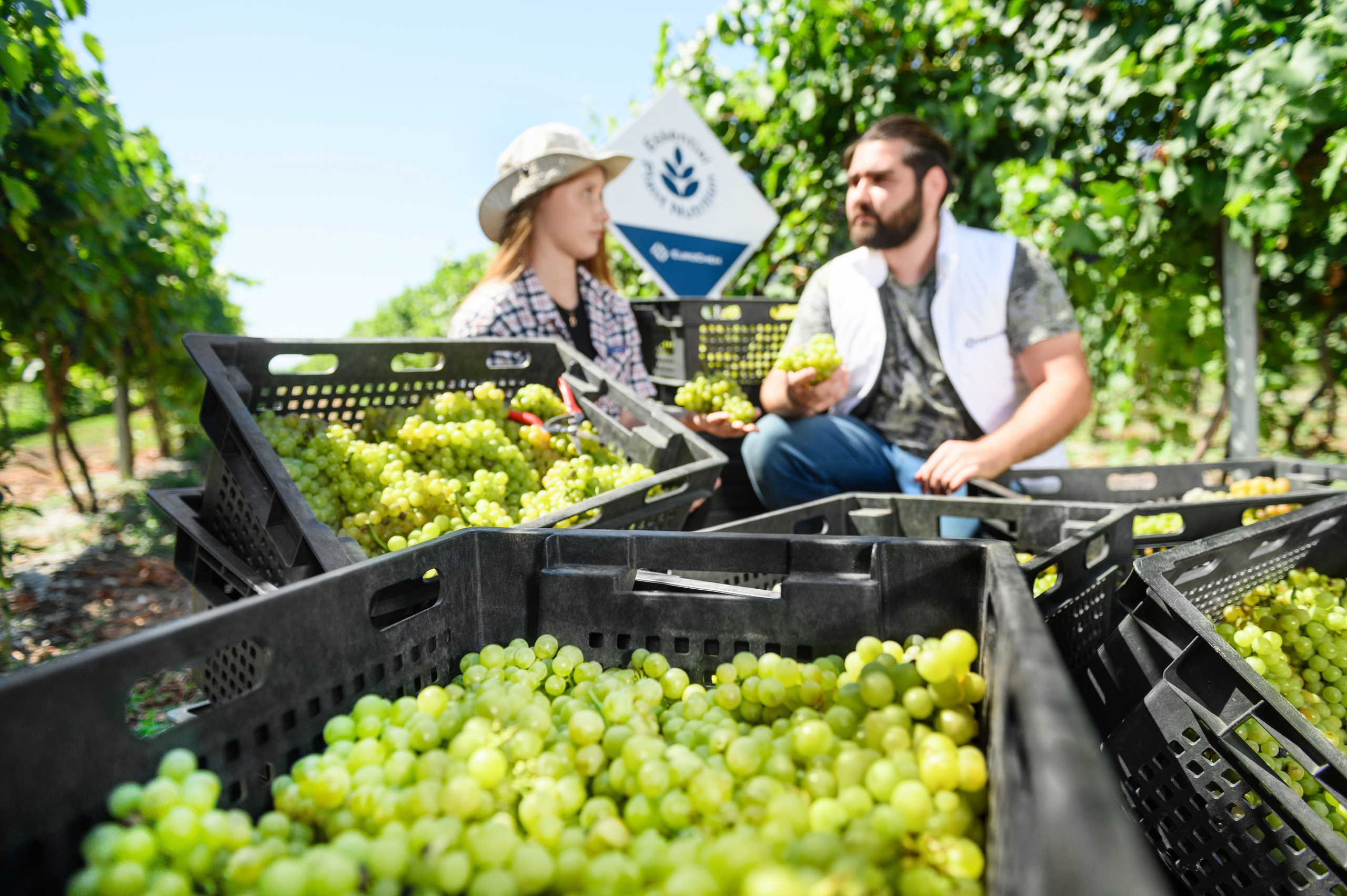 Проекты. Профессиональный фотограф Вячеслав Плацында | Липецк |