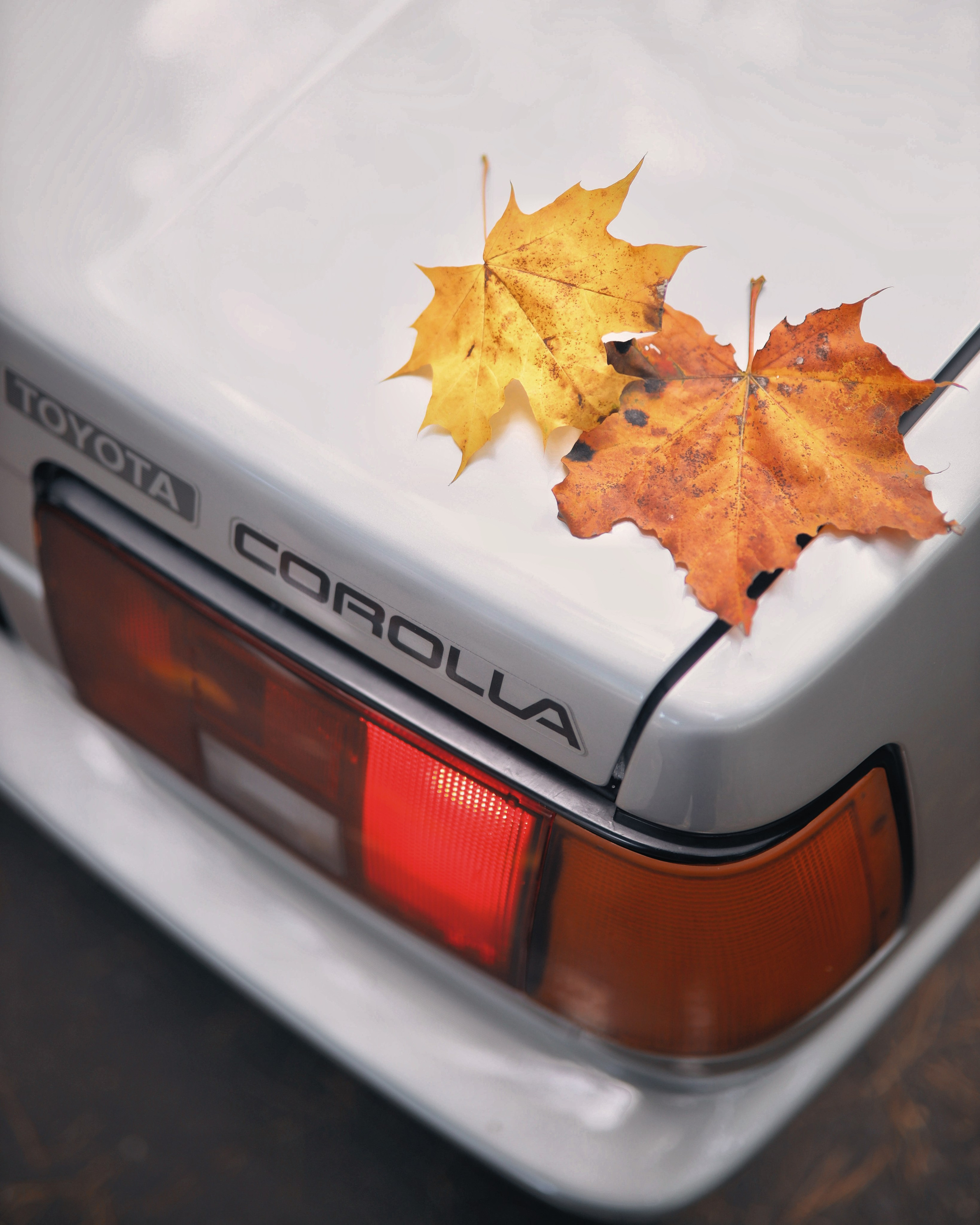 Toyota Corolla AE86. DKARPOCHEVA PHOTOGRAPHY