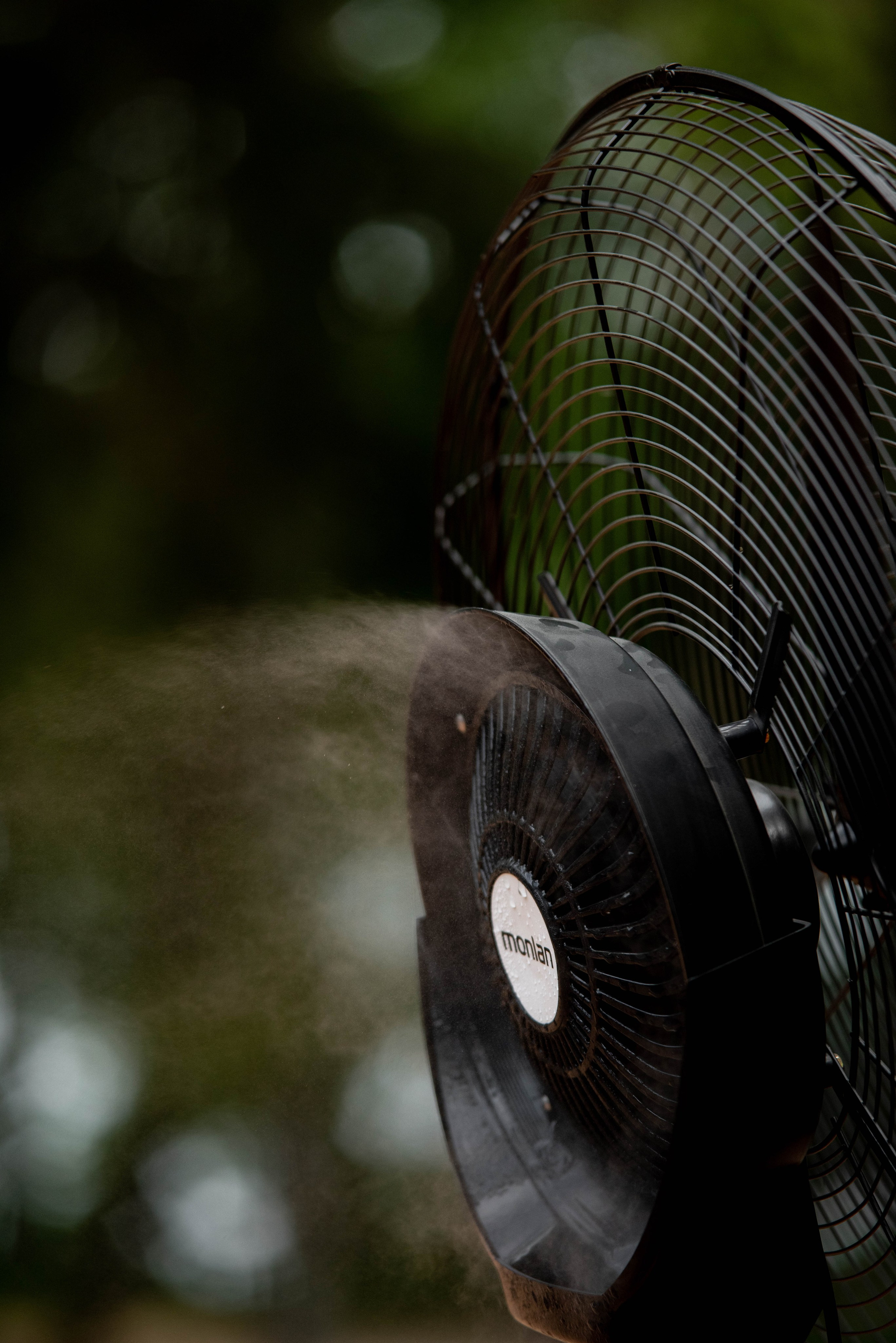 Репортаж. Главная