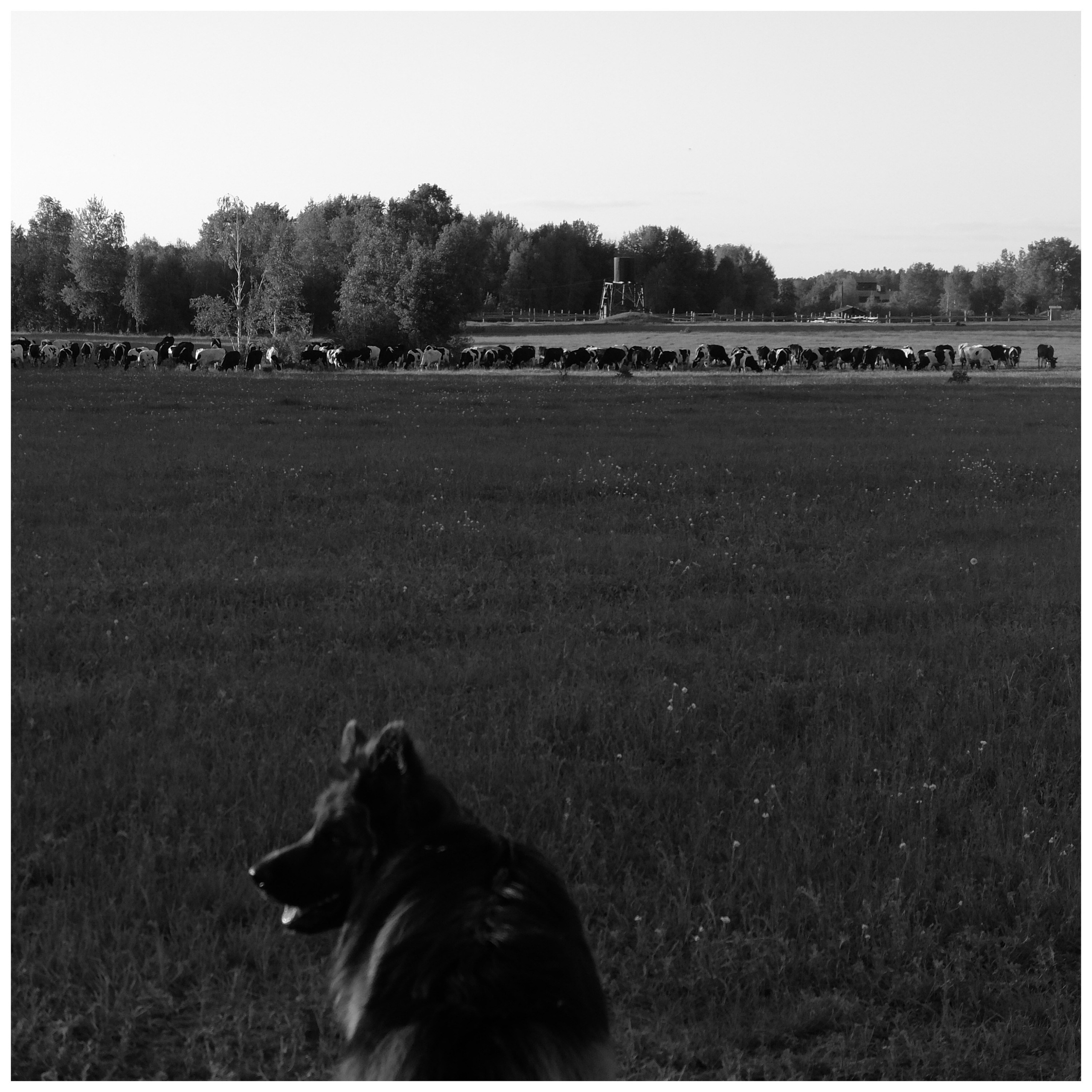 Промежуточные моменты (2022)