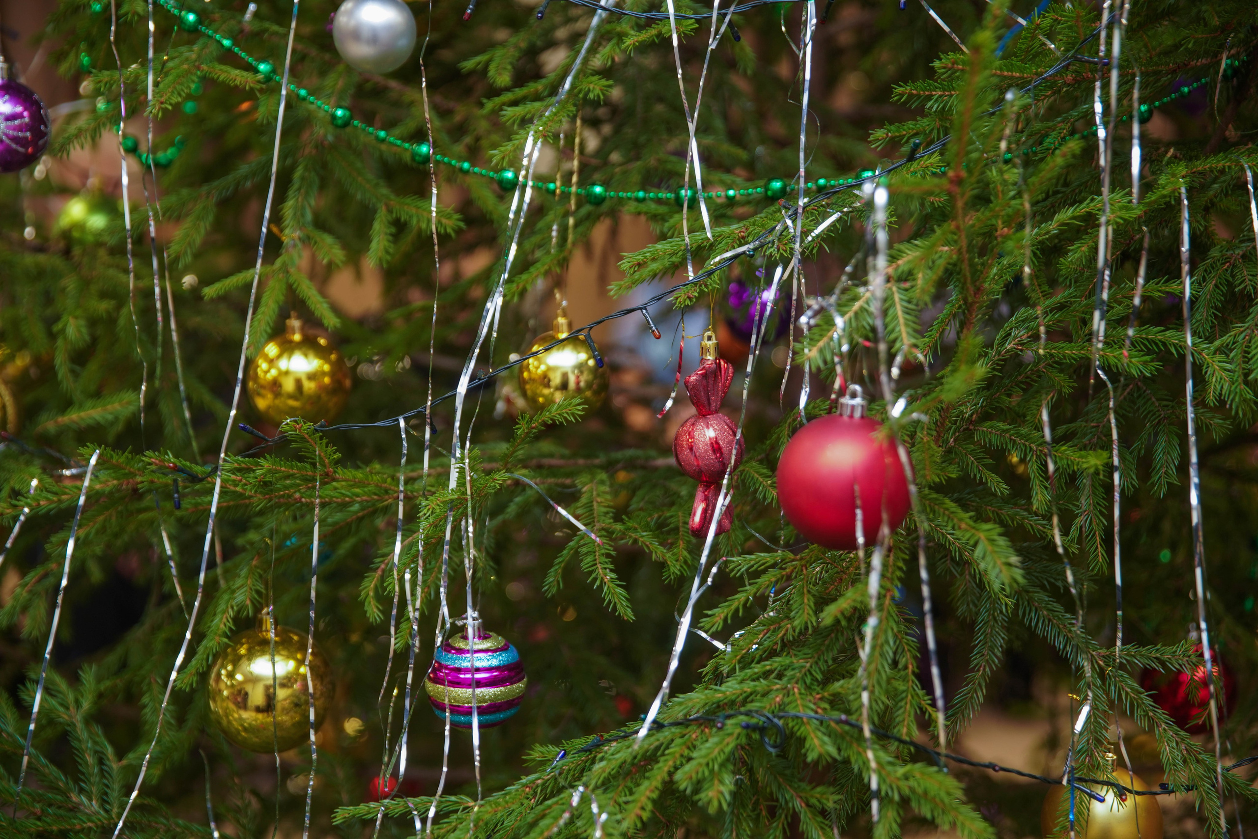 Елка НБД банк. Семейный и детский фотограф в Нижнем Новгороде