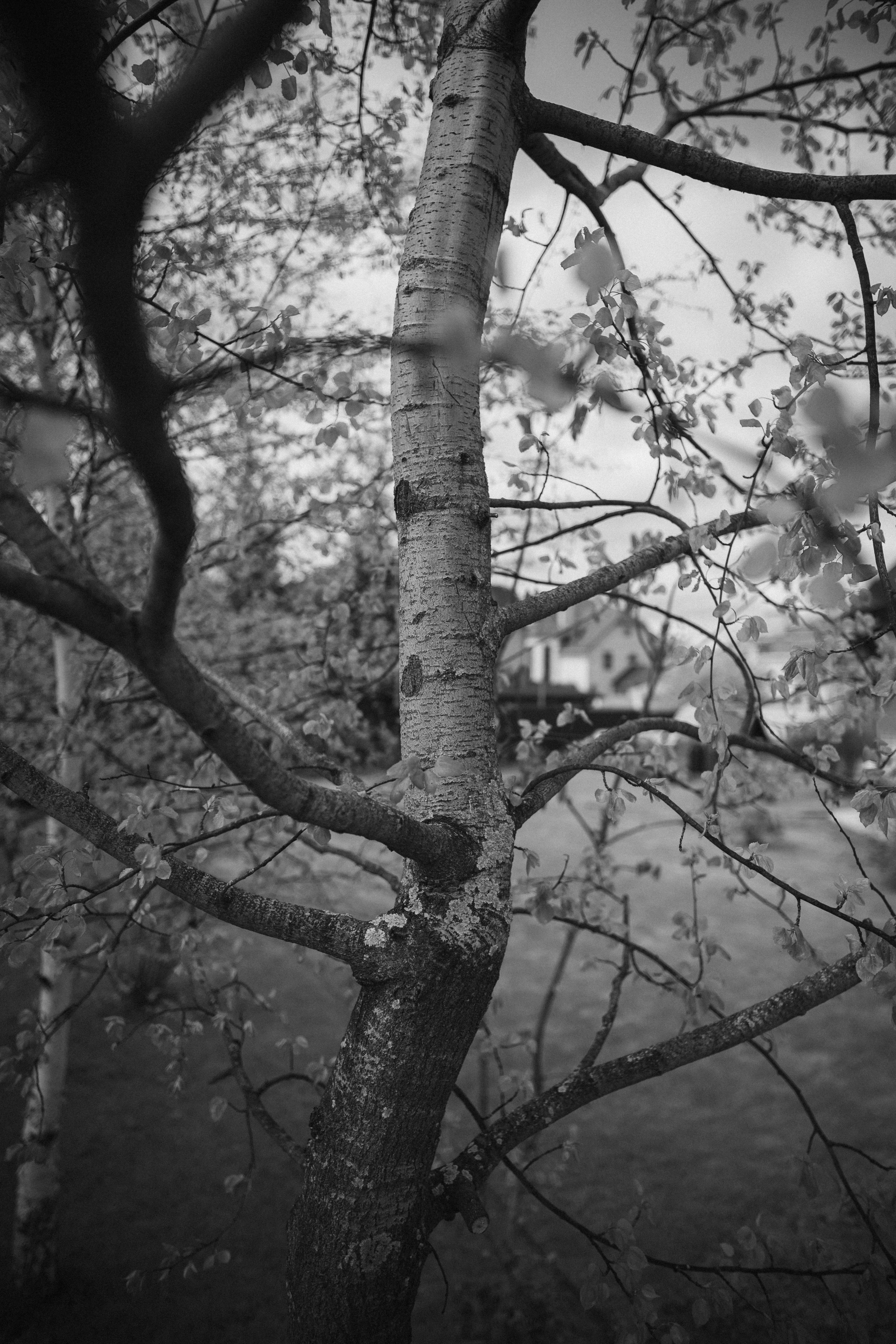 Intemporel. F11 production