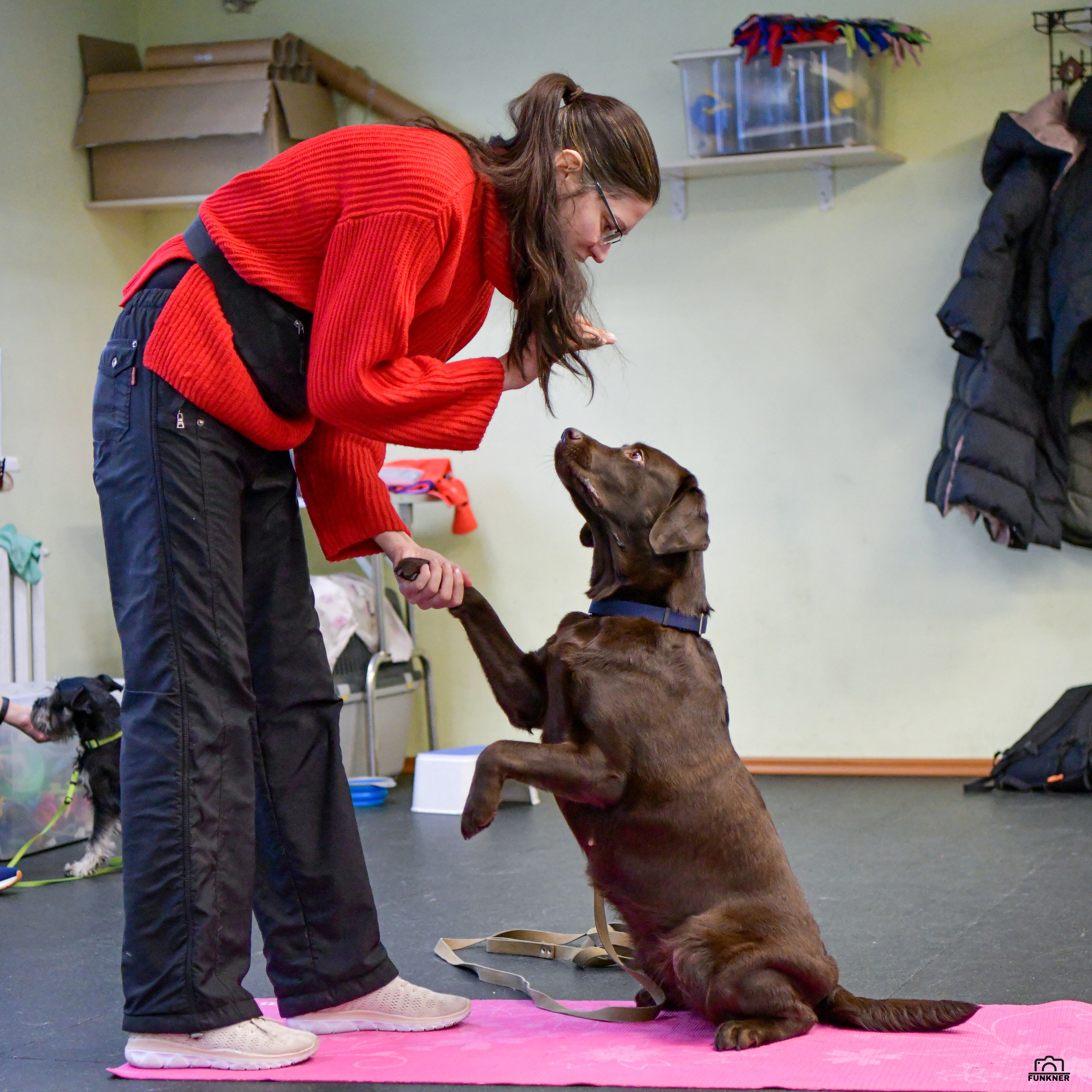 Кинологический клуб «Бодрый хвост». Свой взгляд через объектив