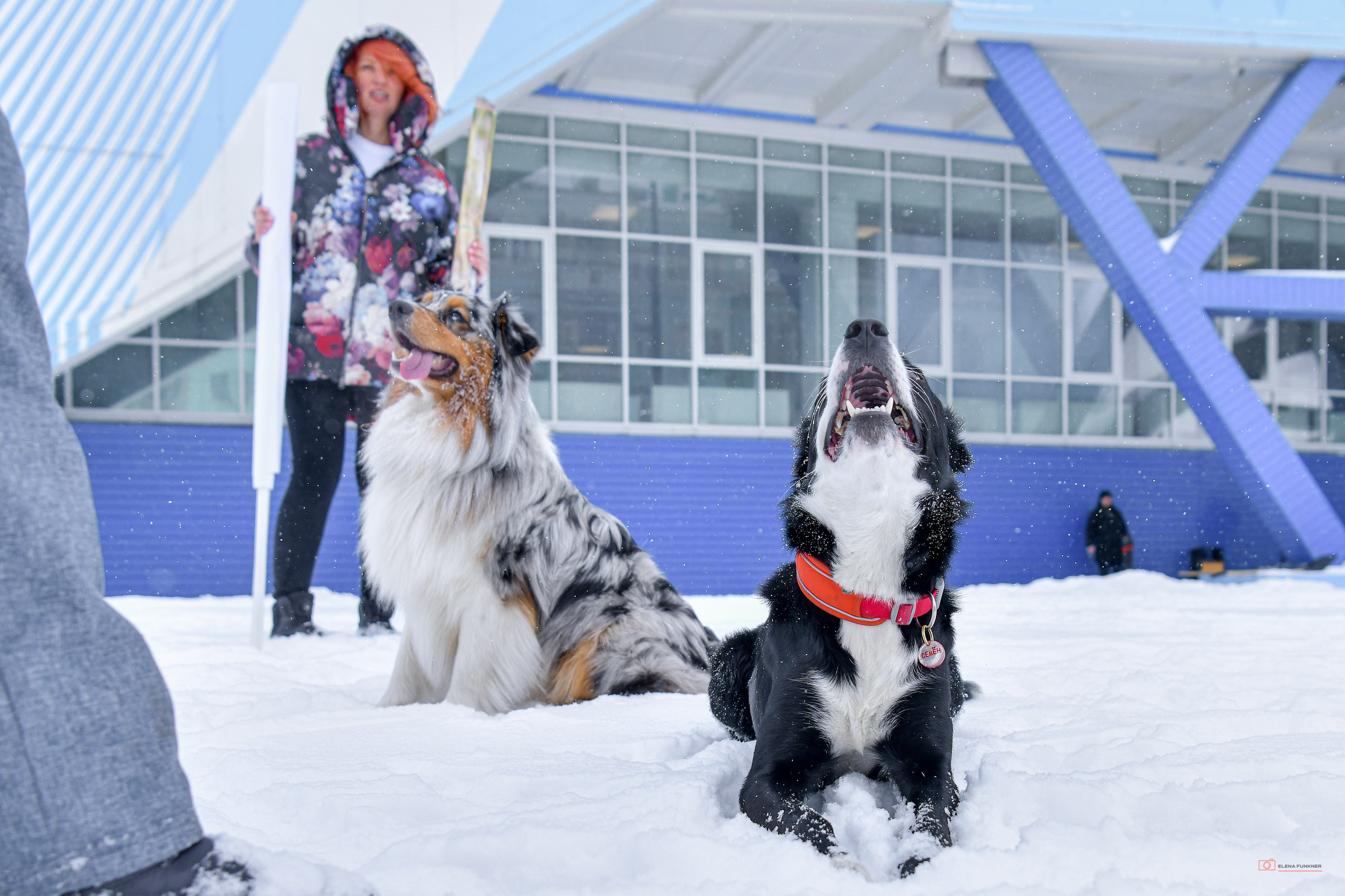 Зима. Свой взгляд через объектив