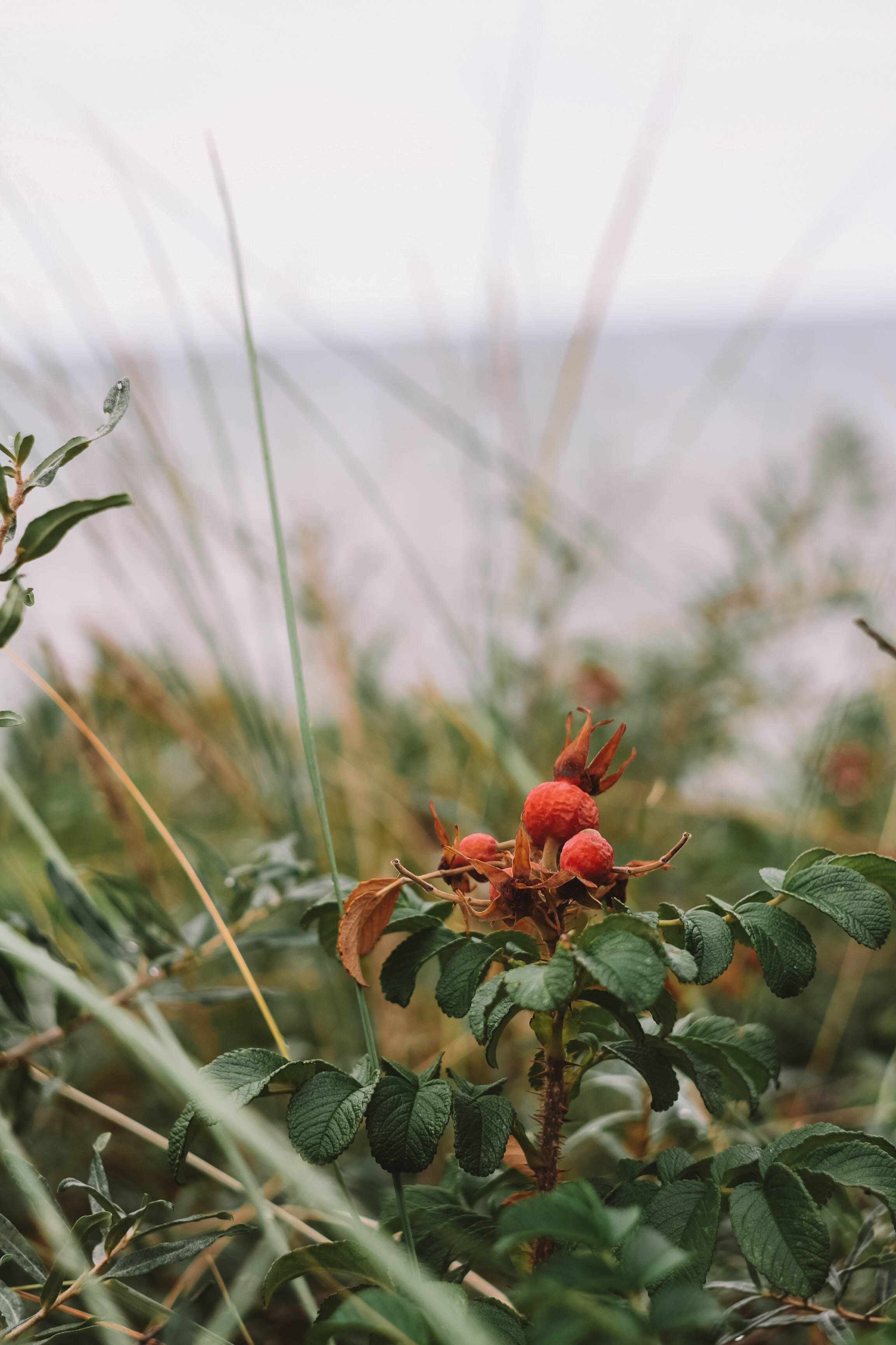 Калининград