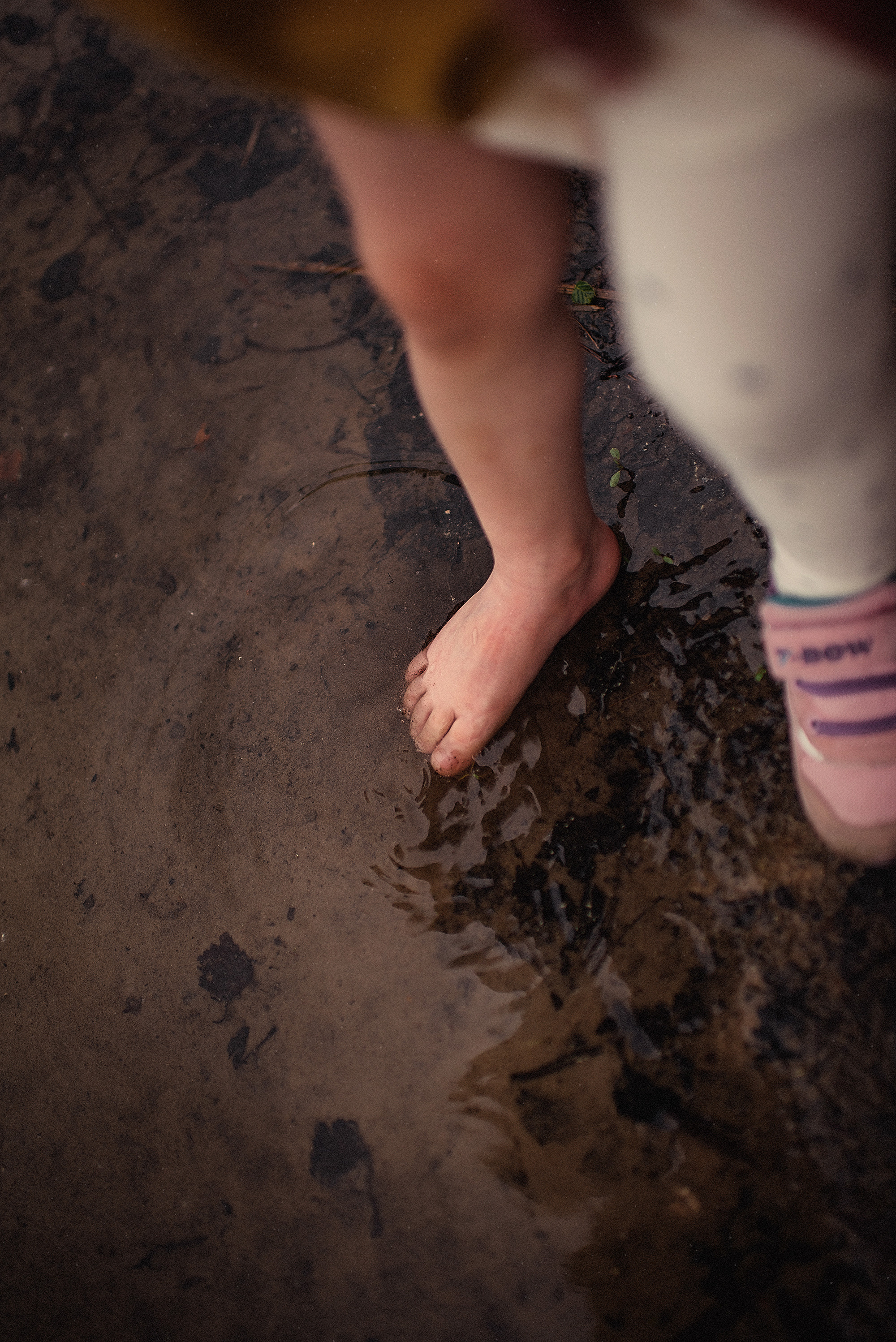 НАДЯ, САША и СОФА. Свадебный и семейный фотограф РИТА БОЧКАРЁВА