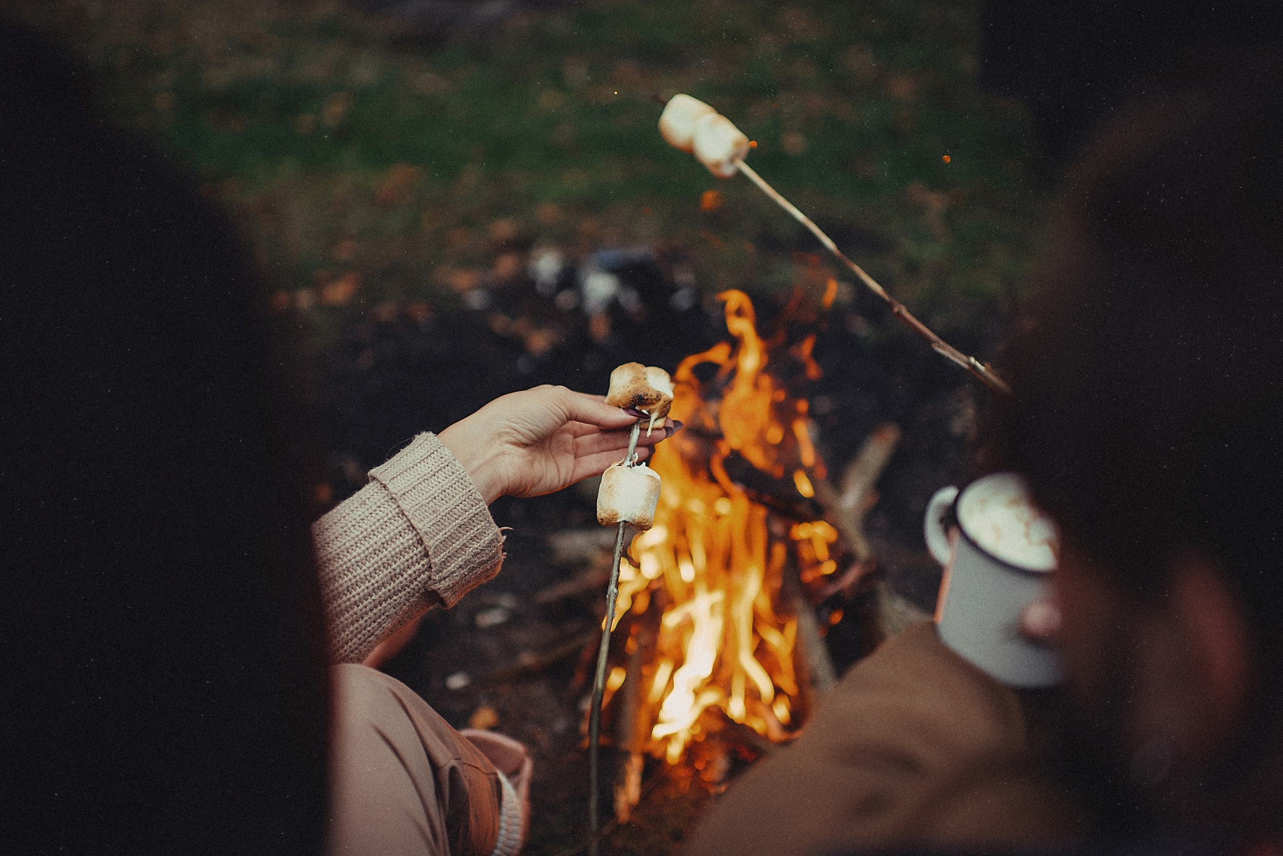 МАРГО, САША и ШАНТИ. ОСЕНЬ. Свадебный и семейный фотограф РИТА БОЧКАРЁВА