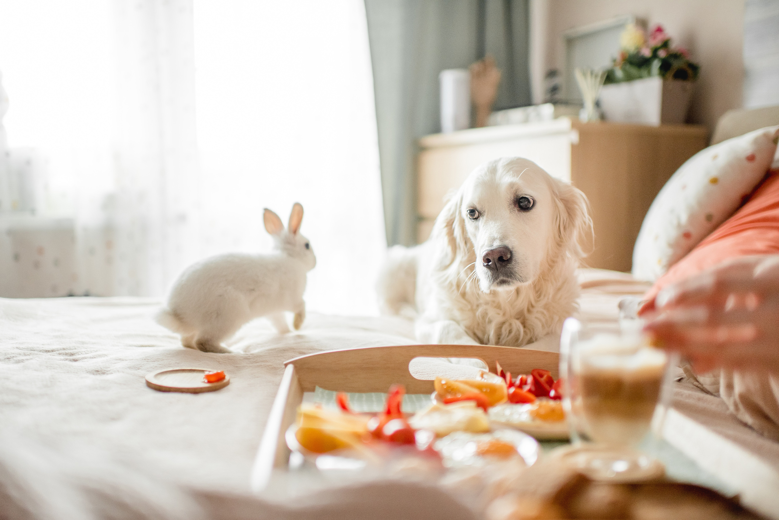 Свадебный и семейный фотограф РИТА БОЧКАРЁВА