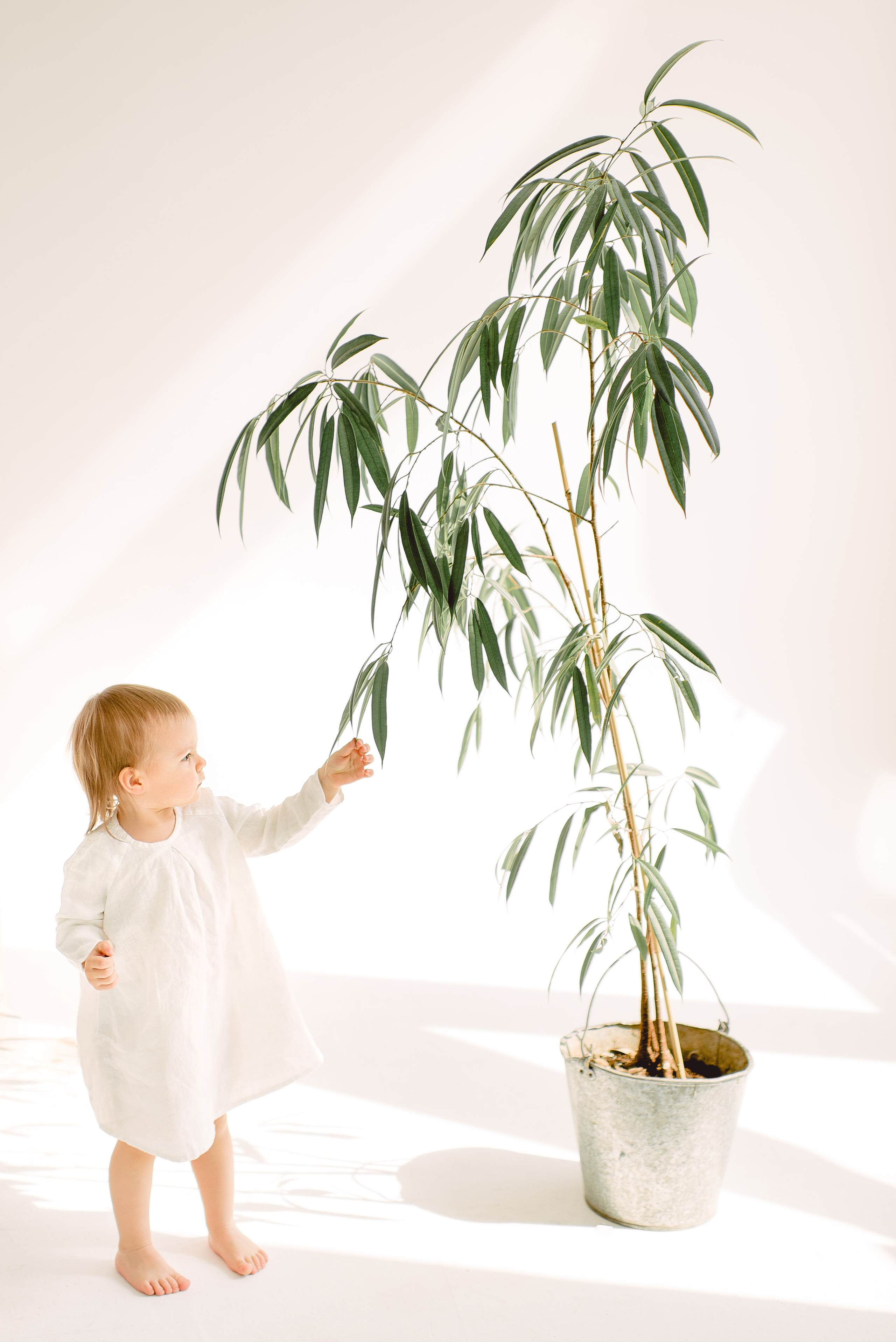 АЛИНА и САШУЛЯ. Свадебный и семейный фотограф РИТА БОЧКАРЁВА