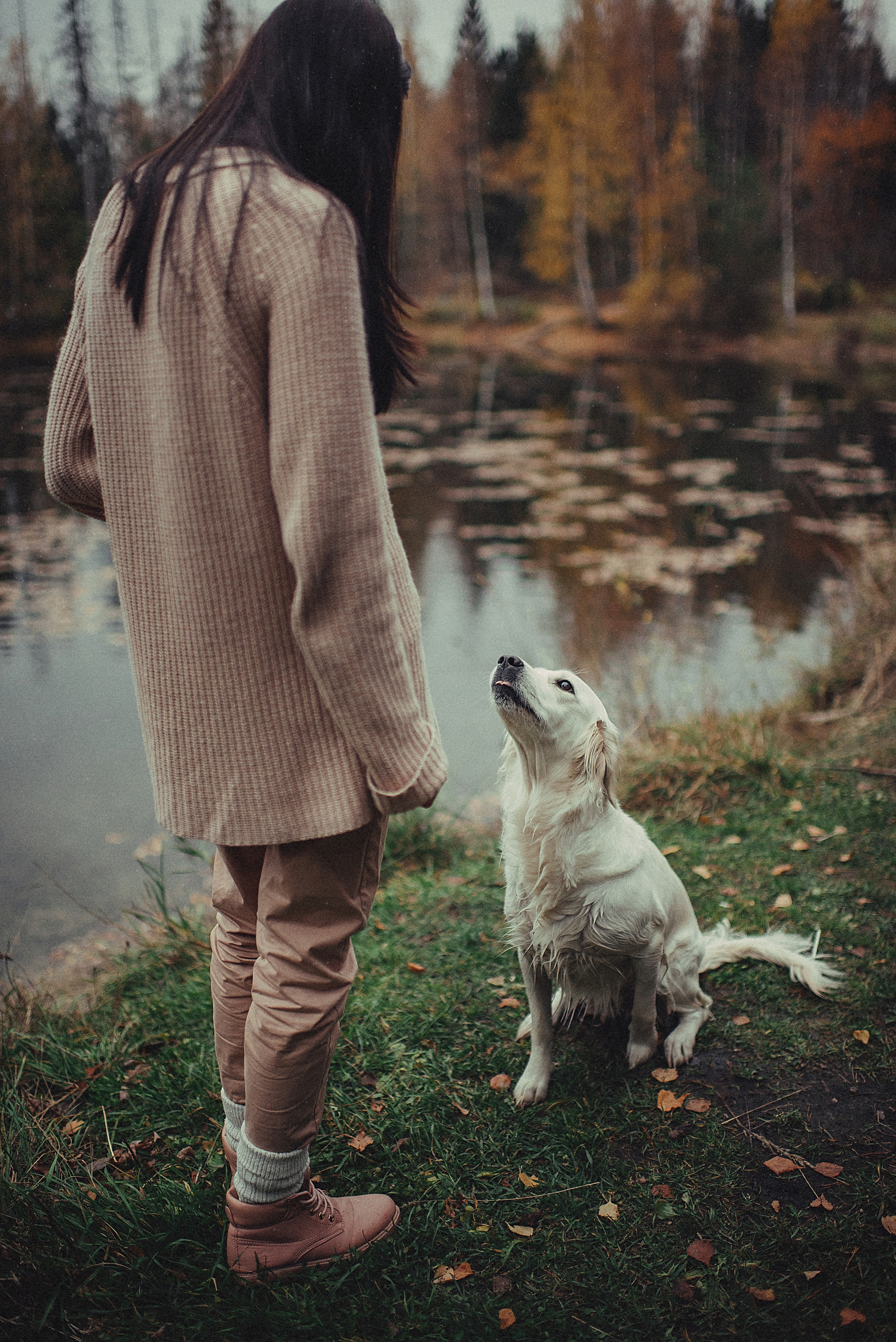 МАРГО, САША и ШАНТИ. ОСЕНЬ. Свадебный и семейный фотограф РИТА БОЧКАРЁВА