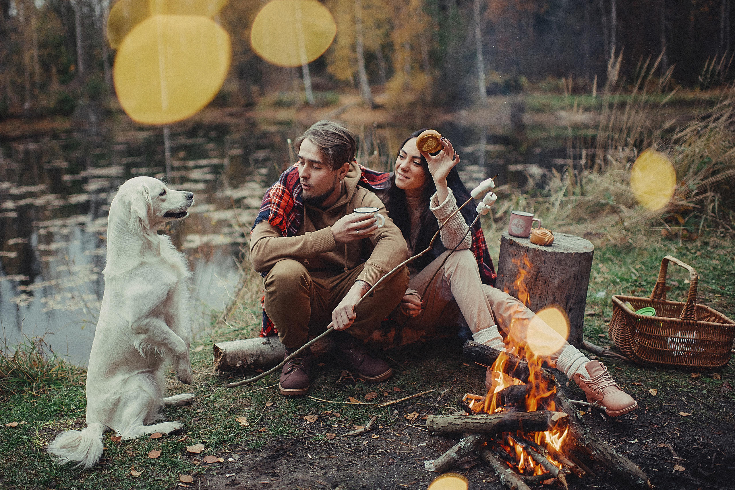 МАРГО, САША и ШАНТИ. ОСЕНЬ. Свадебный и семейный фотограф РИТА БОЧКАРЁВА