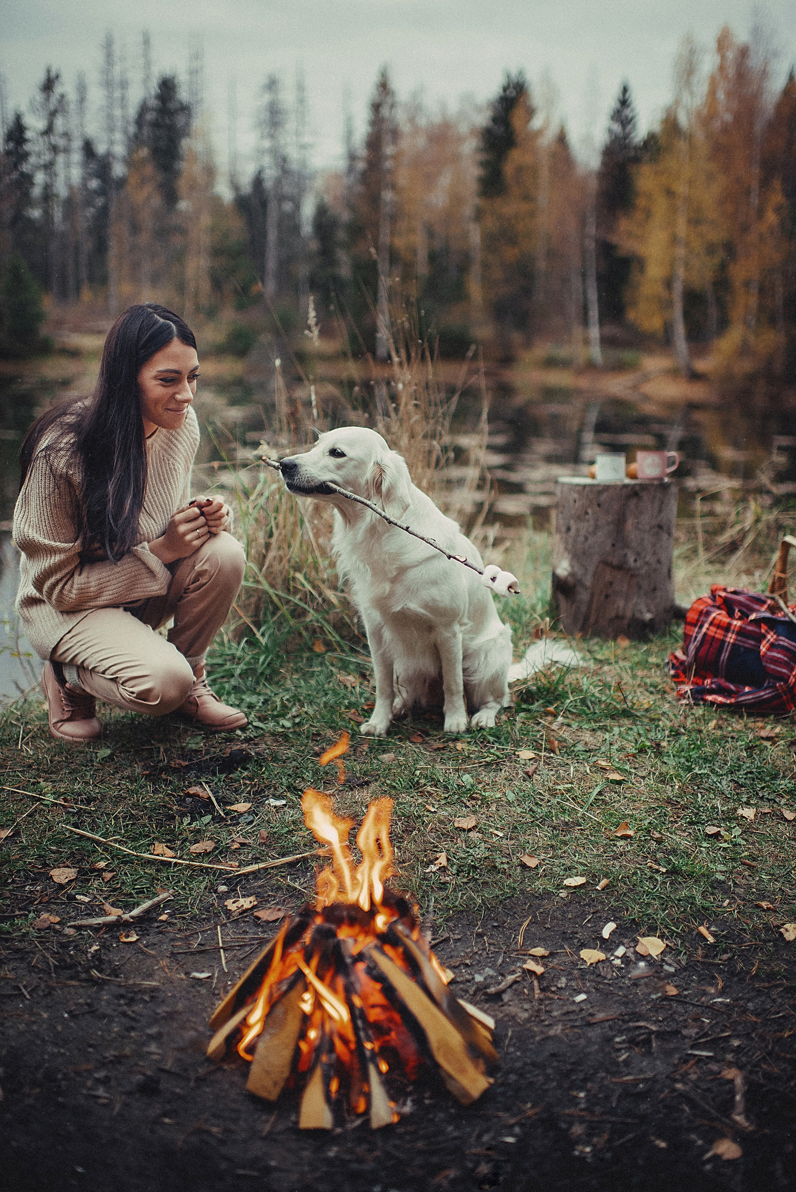 МАРГО, САША и ШАНТИ. ОСЕНЬ. Свадебный и семейный фотограф РИТА БОЧКАРЁВА