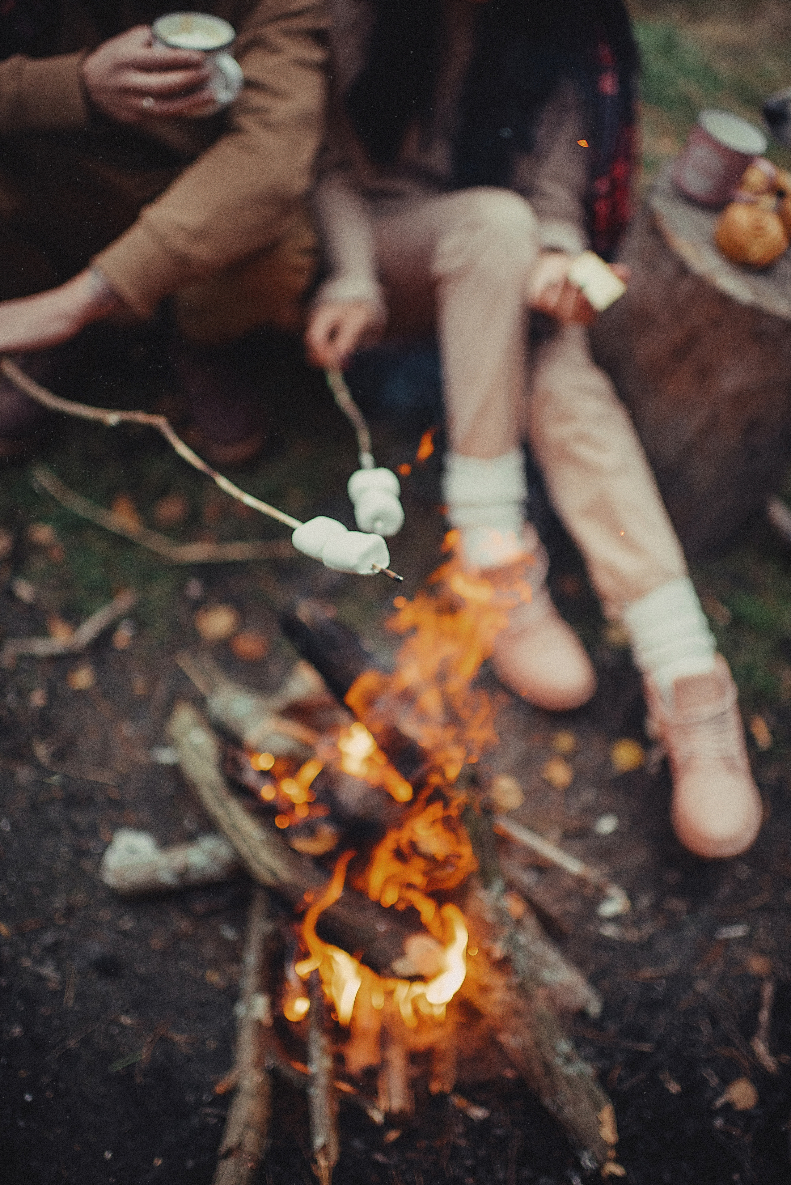 МАРГО, САША и ШАНТИ. ОСЕНЬ. Свадебный и семейный фотограф РИТА БОЧКАРЁВА