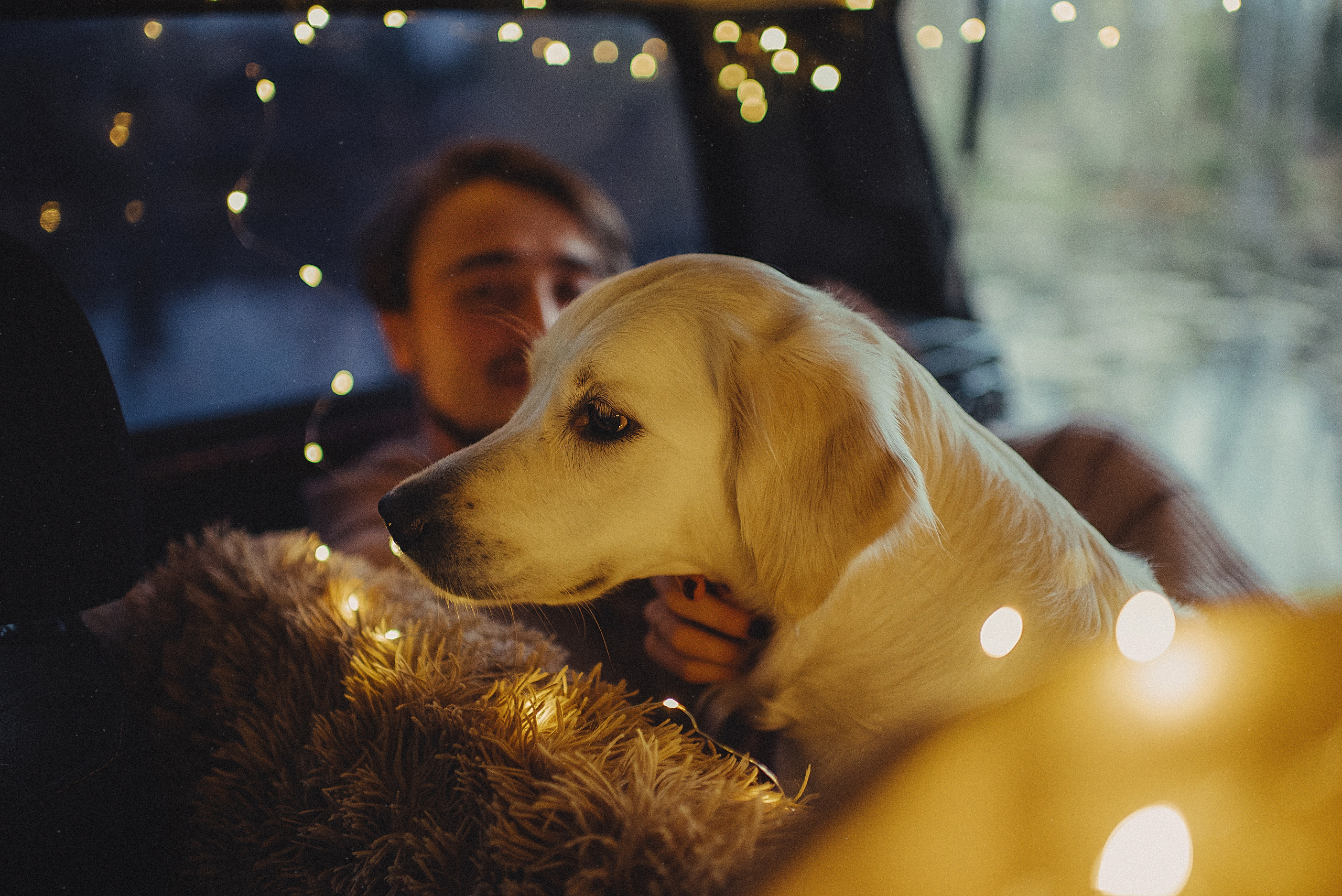 МАРГО, САША и ШАНТИ. ОСЕНЬ. Свадебный и семейный фотограф РИТА БОЧКАРЁВА