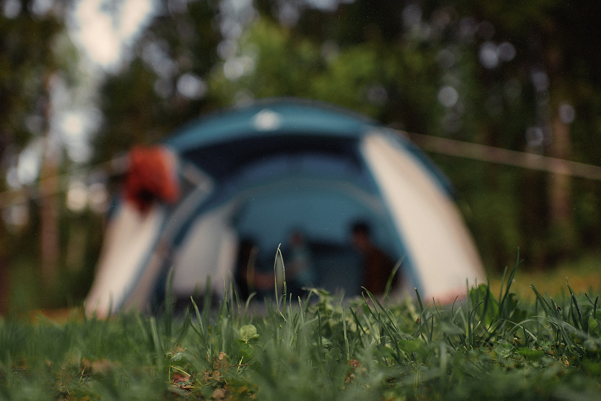 НАДЯ, САША и СОФА. Свадебный и семейный фотограф РИТА БОЧКАРЁВА