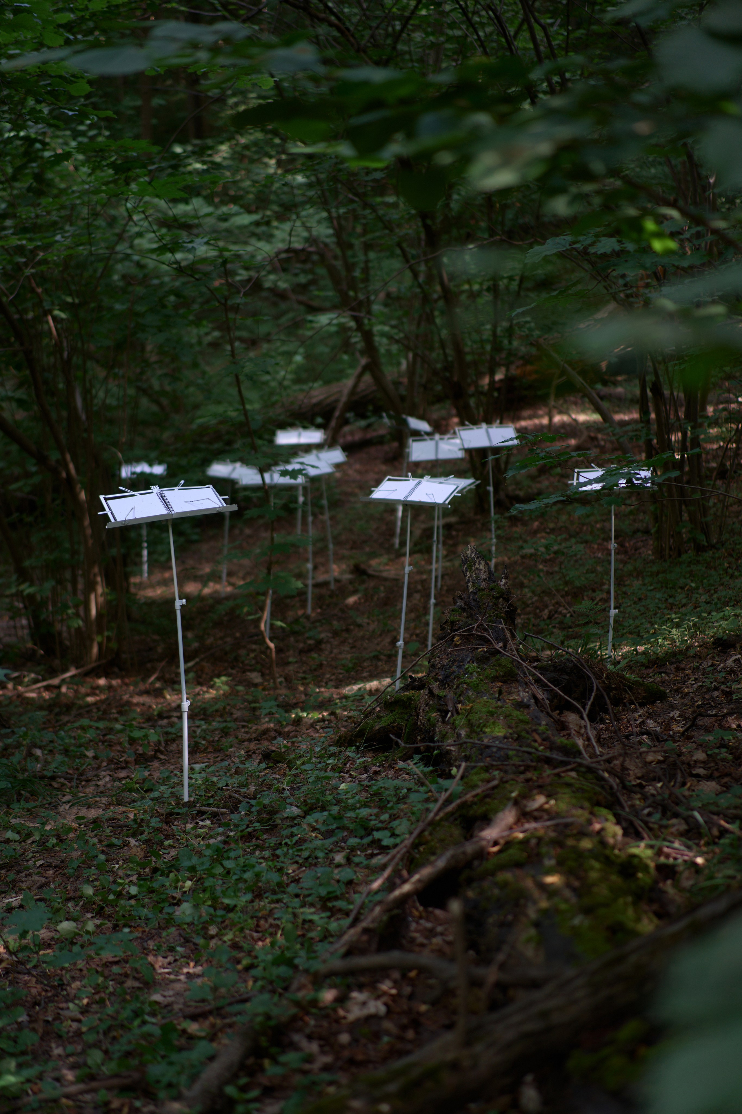 Художник  Елена Алексеева (Alpha_Vita). СОАВТОРЫ