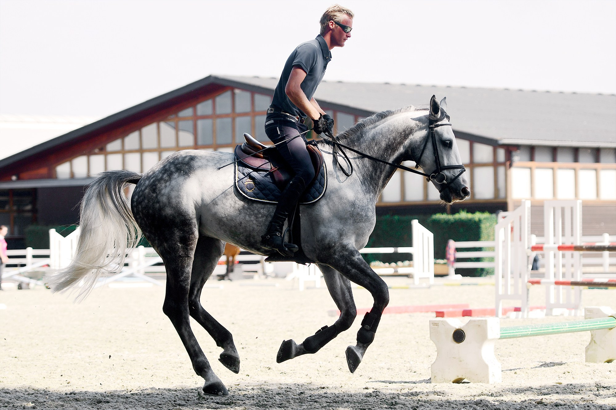 Конные клубы. Конный фотограф Alesya Safe