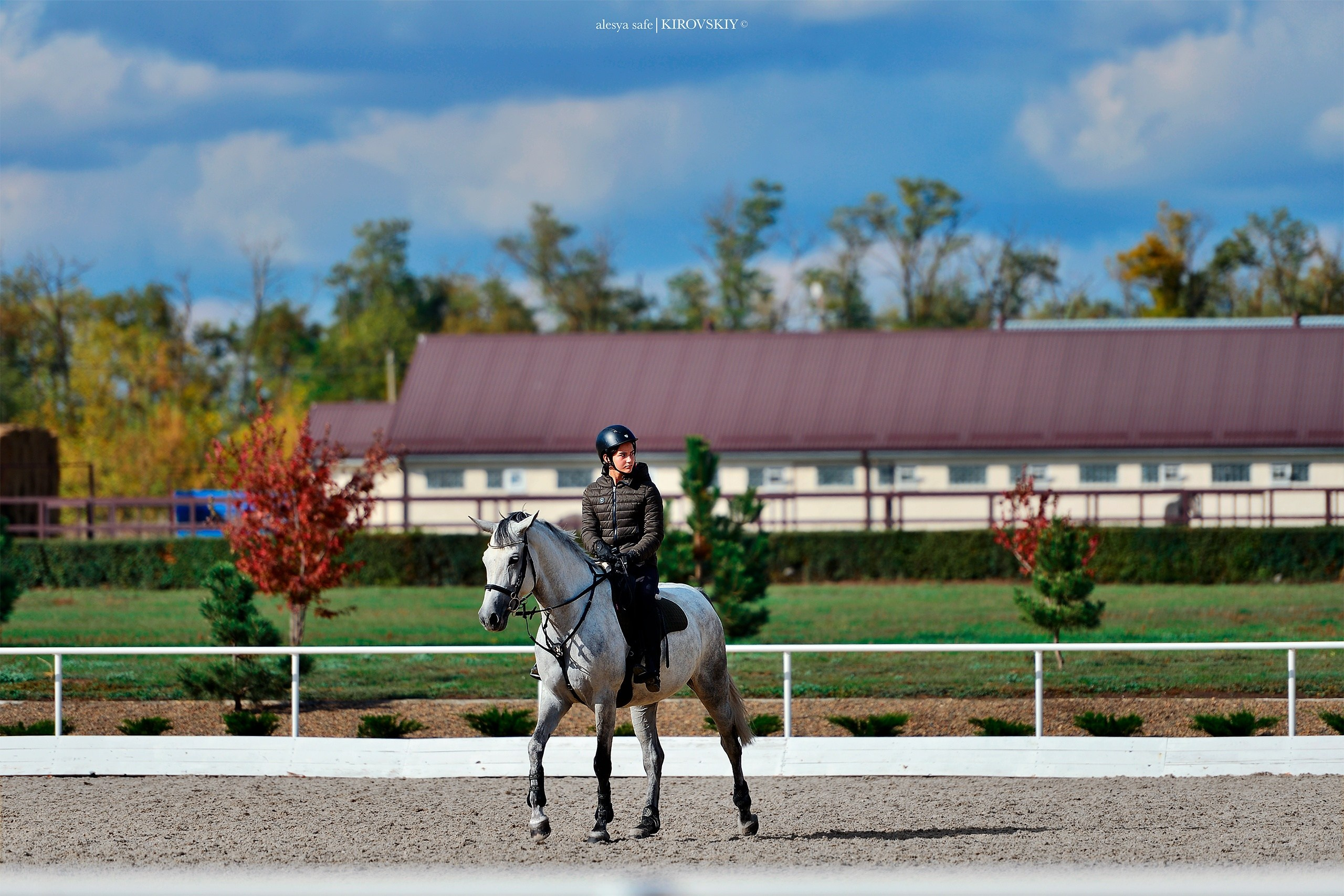 Кировский конный завод. Конный фотограф Alesya Safe
