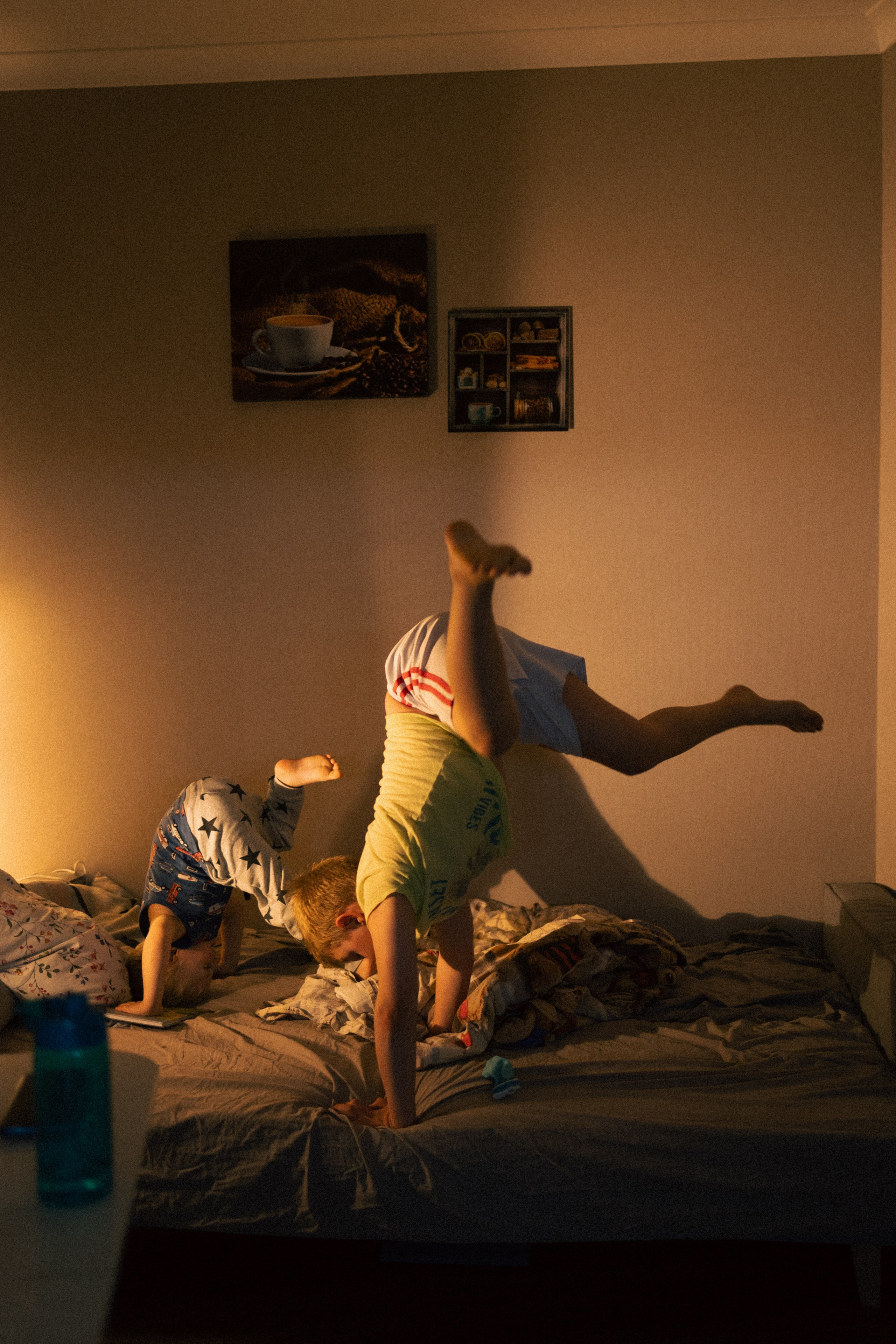 Мальчишки. Фотограф анималист в Москве Майорова Евгения