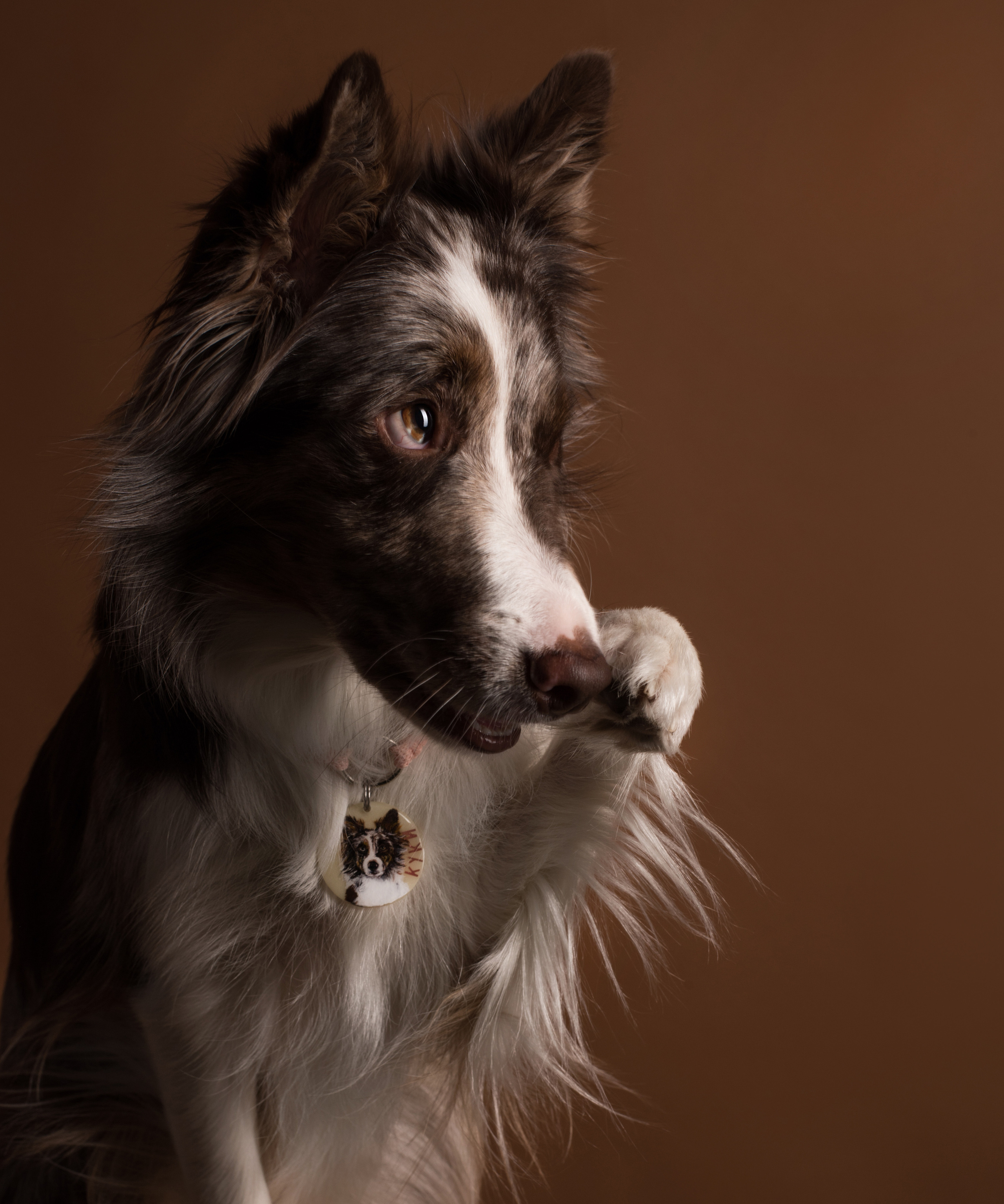 Портфолио. Фотограф-анималист в Екатеринбурге Марина Шишкина