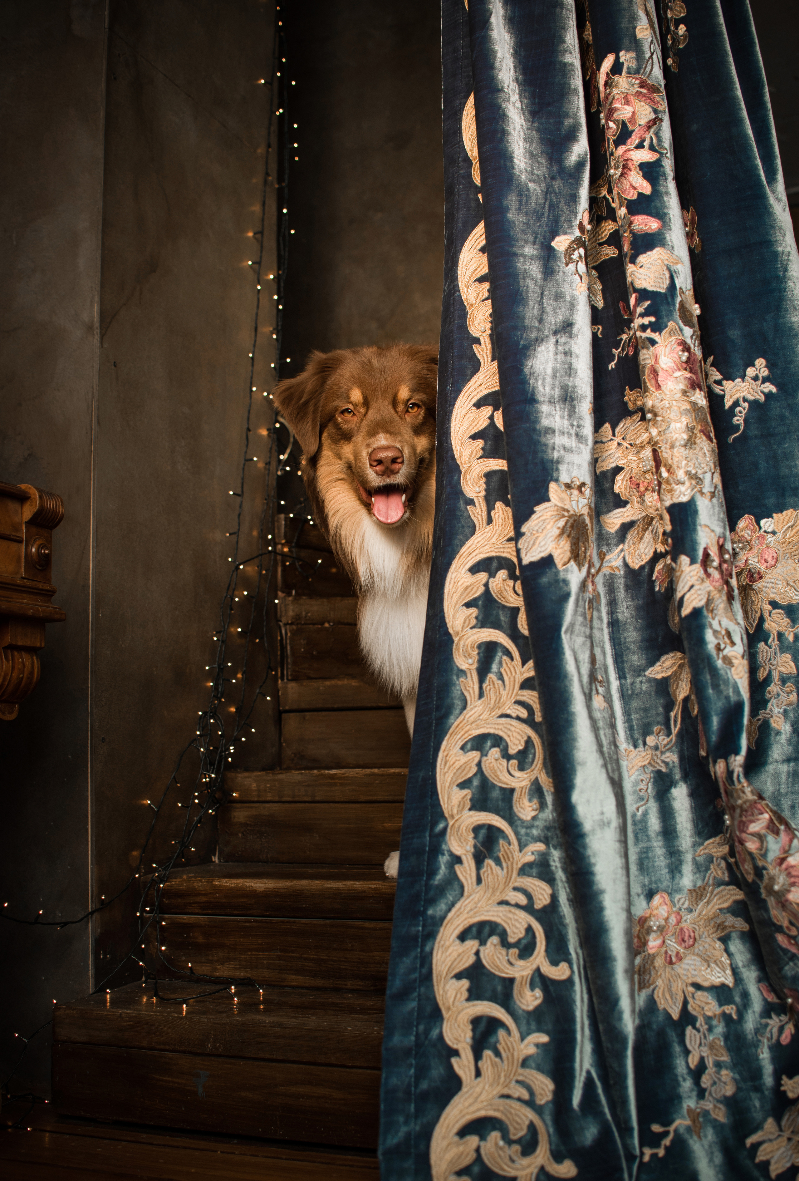 Портфолио. Фотограф-анималист в Екатеринбурге Марина Шишкина