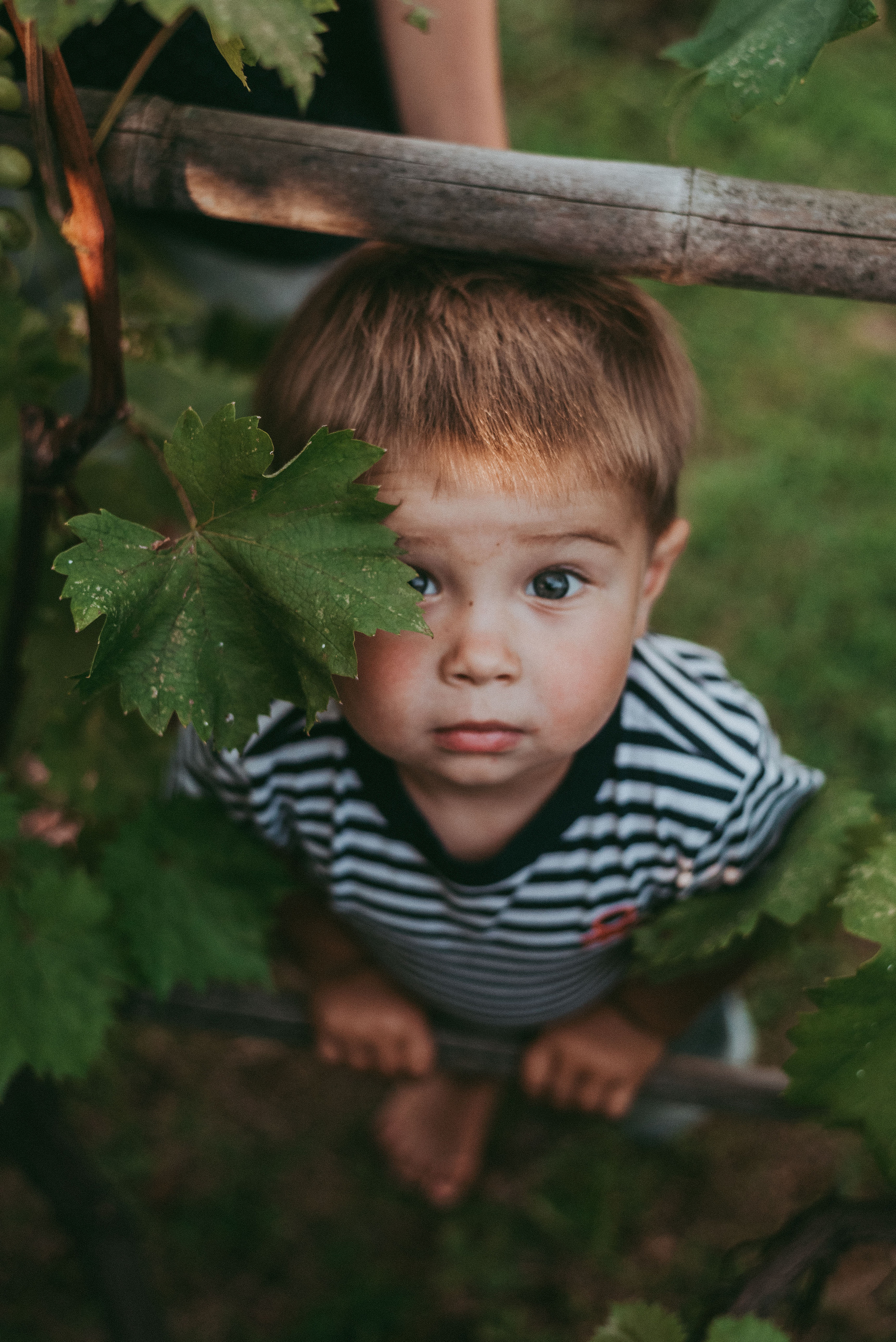 Фотограф в Сочи Рита Поганова. Фотограф в Сочи — Маргарита Поганова