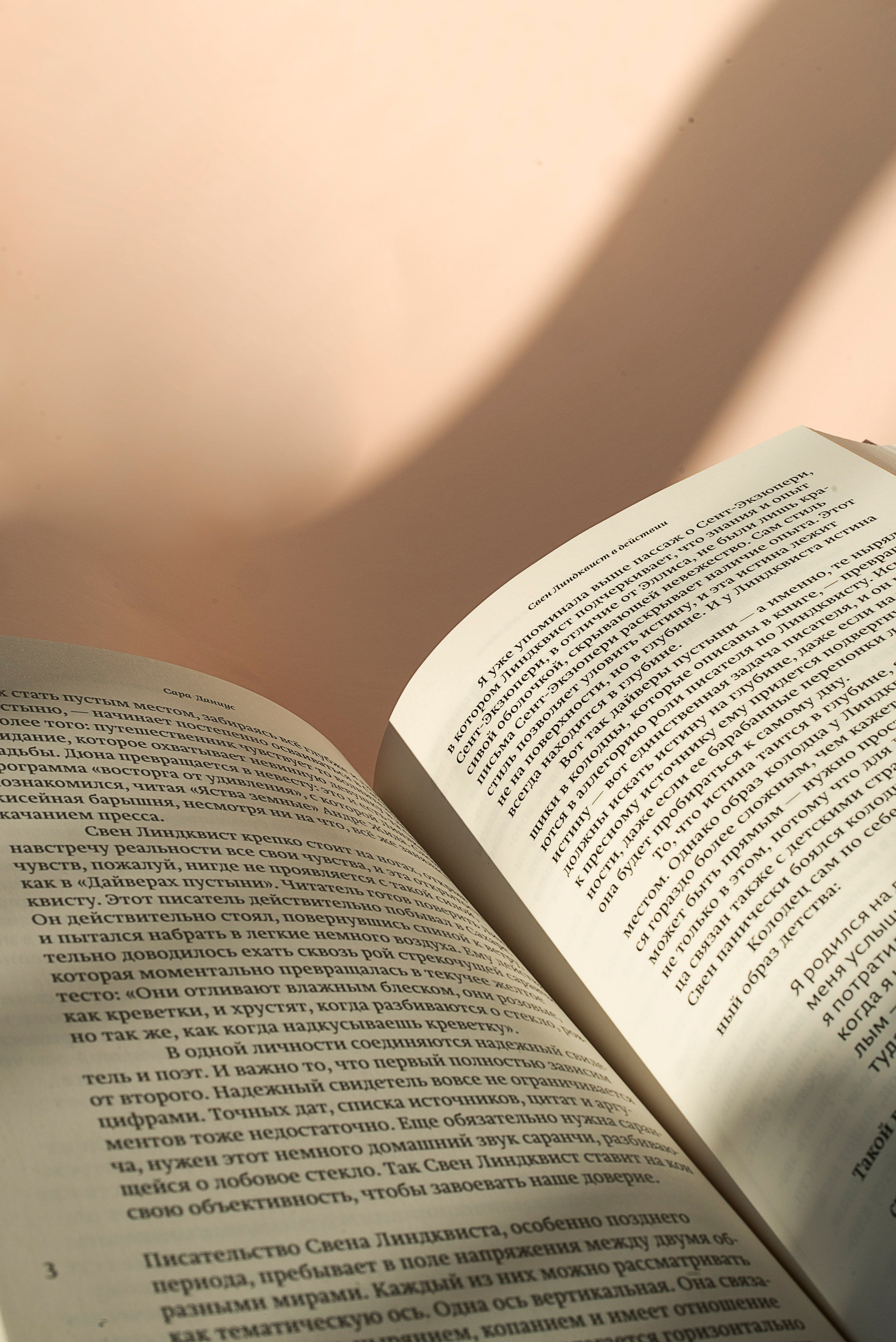 ONE SUMMER OF MARKS. Сocoobird || Атмосфера твоего бренда в снимках и видео