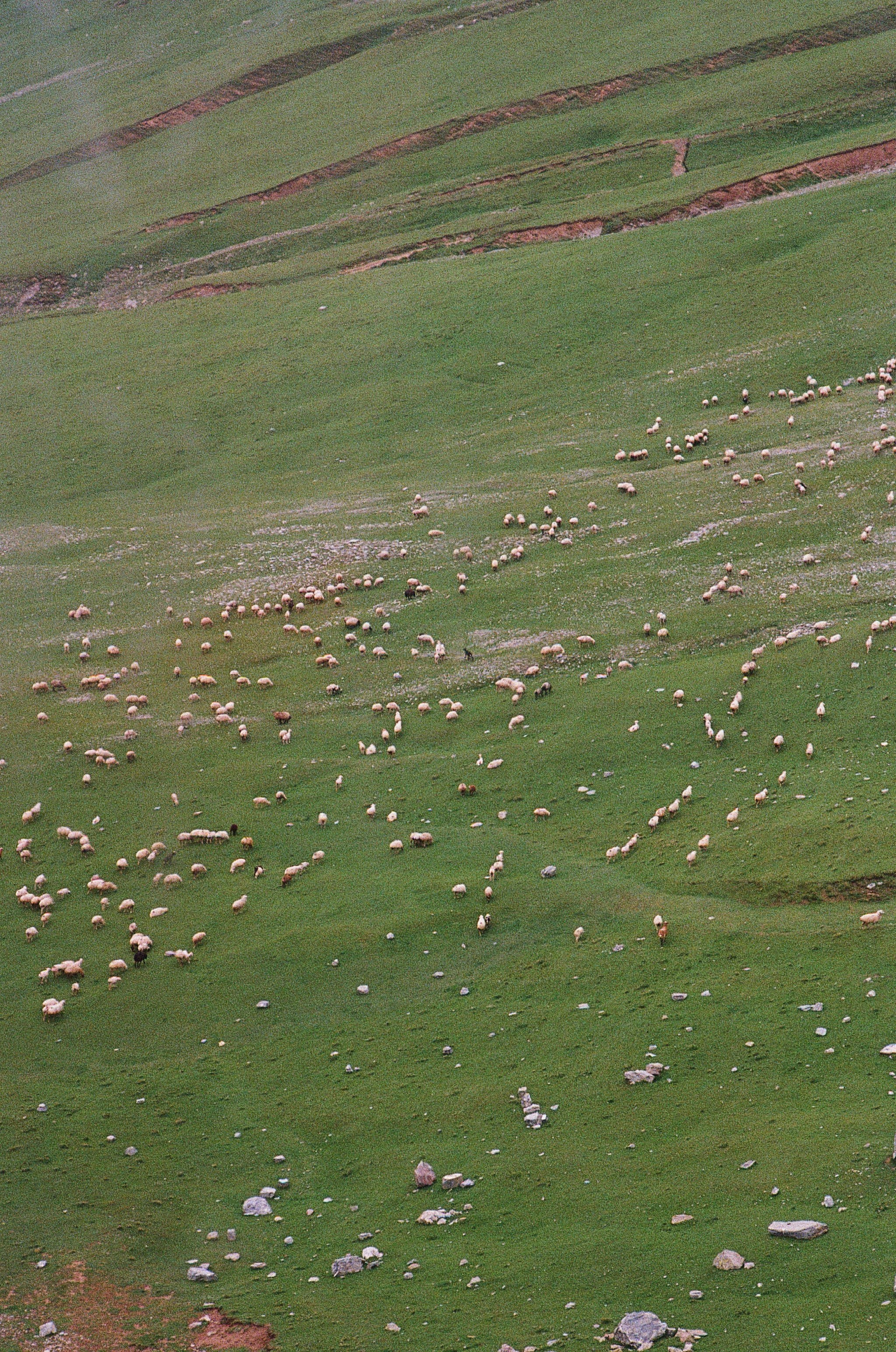 ГРУЗИЯ. ПРИРОДА.25. Профессиональный фотограф Федотова Арина