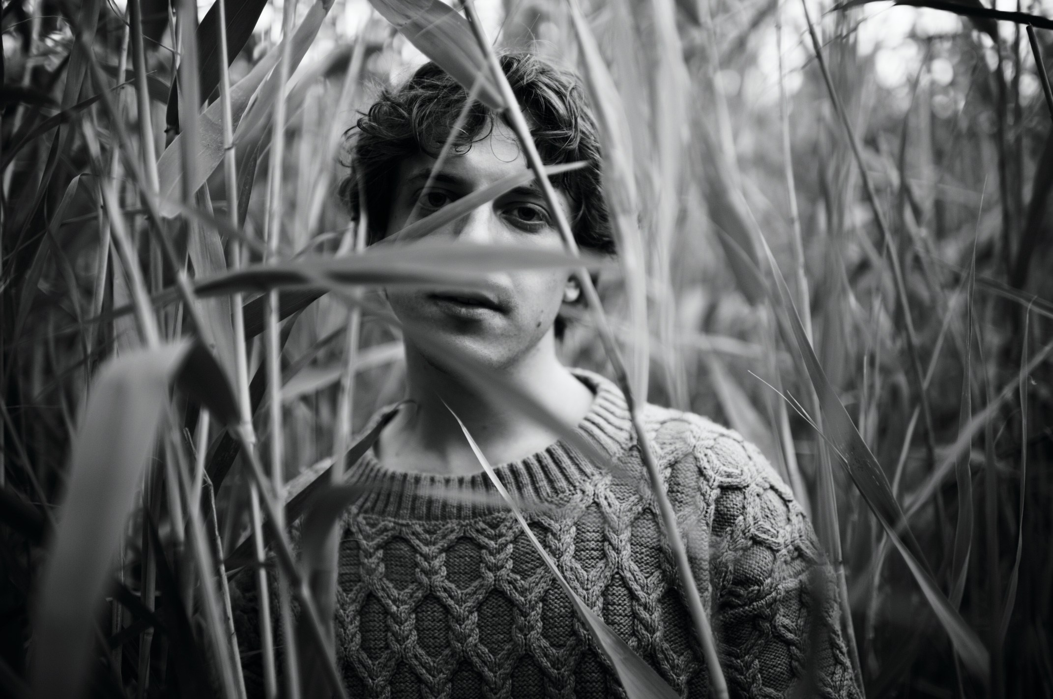 Парень в свитере стоит в высокой траве