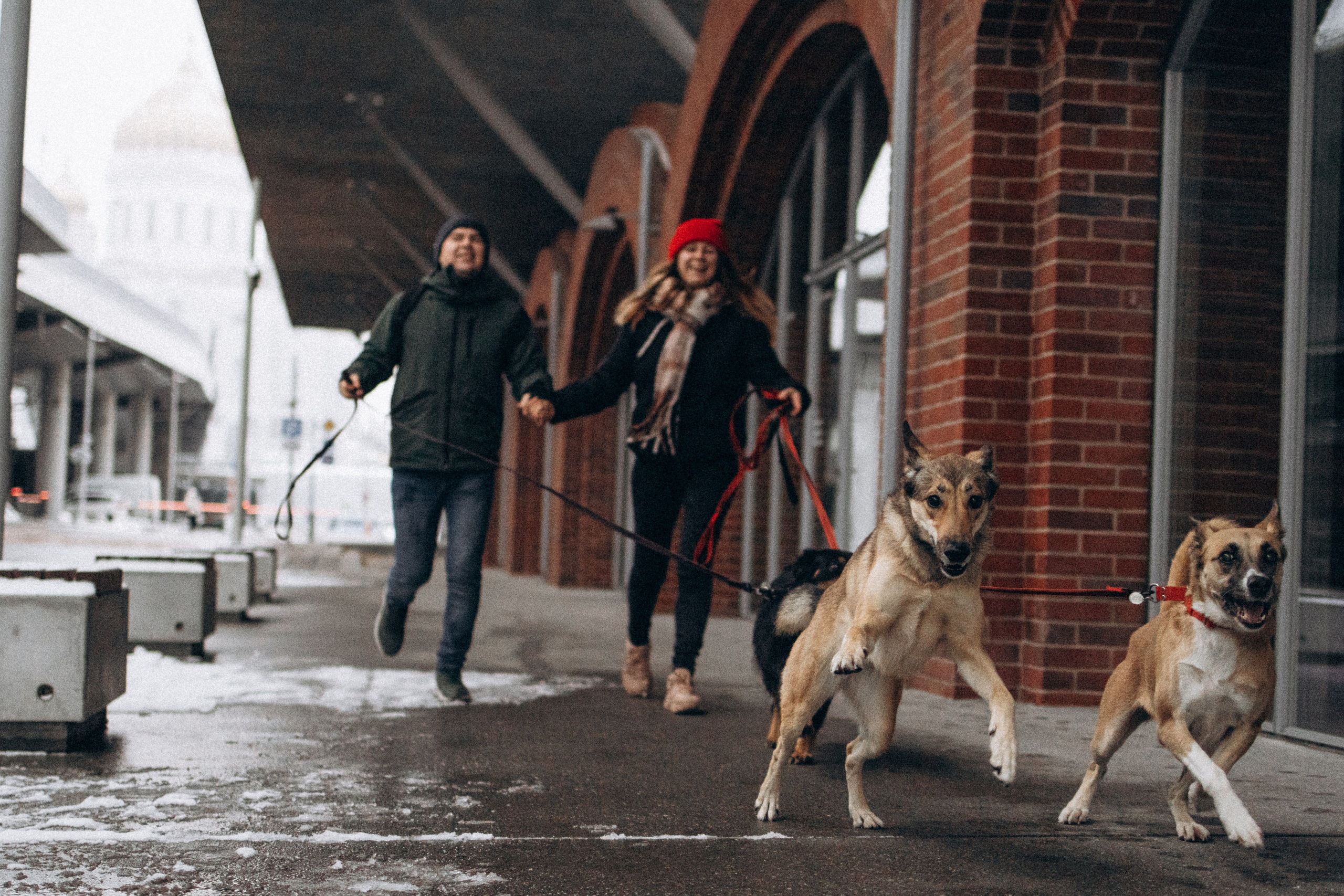 Саша, Ксюша и их банда. Фотораф — анималист Мария Шистка