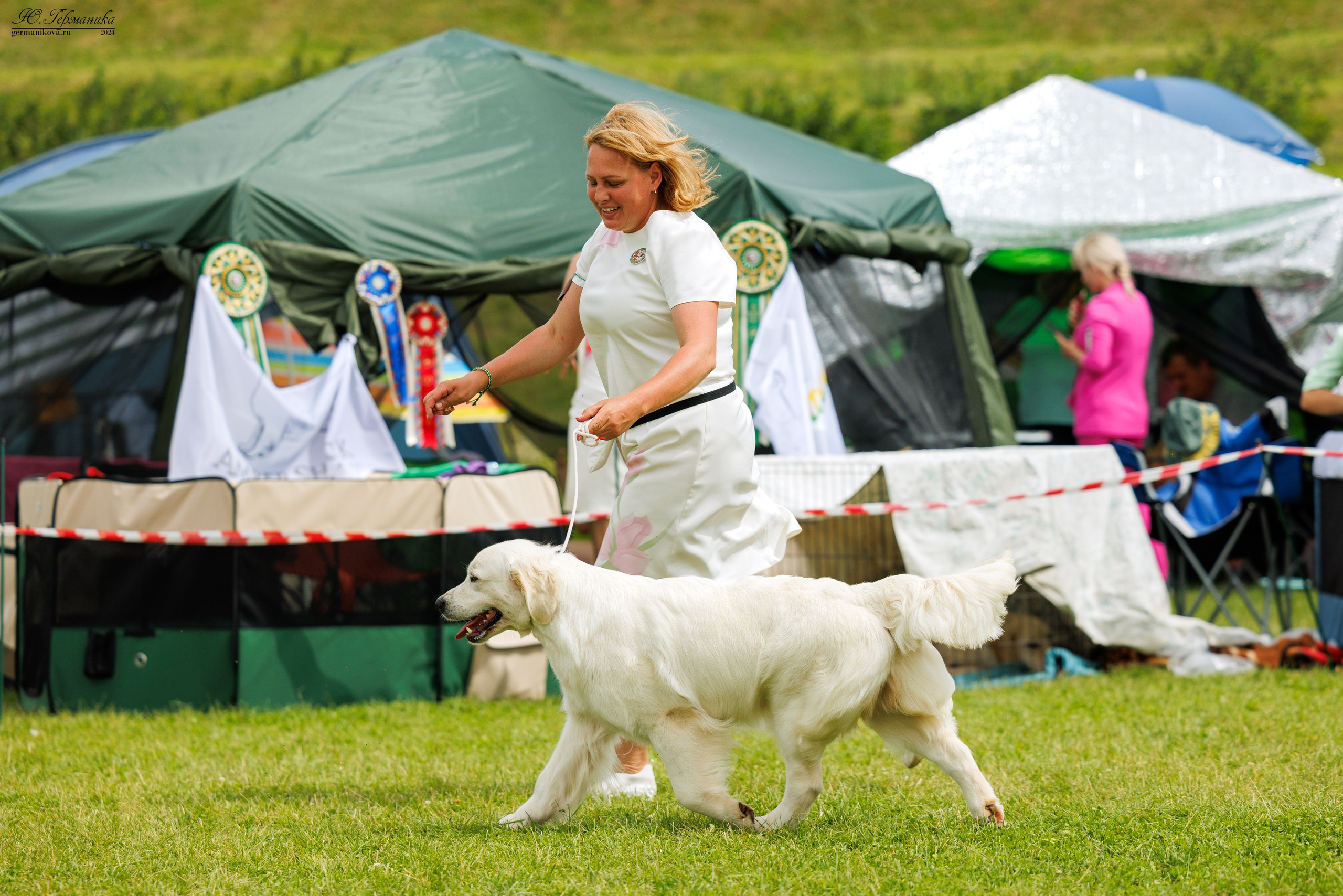 Голдены 15-16.06.2024. Фотограф-анималист Юлия Германика