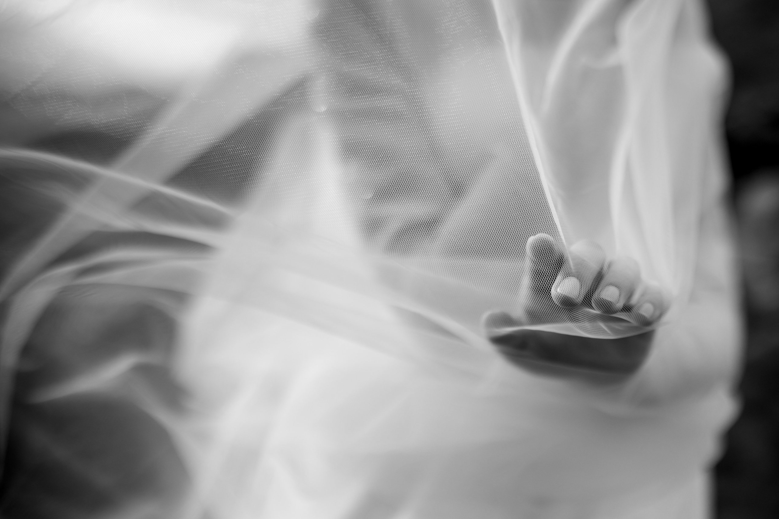 Давид и Наталия-прогулка. Свадебный и семейный фотограф в Севастополе и в Крыму Анастасия Корчак