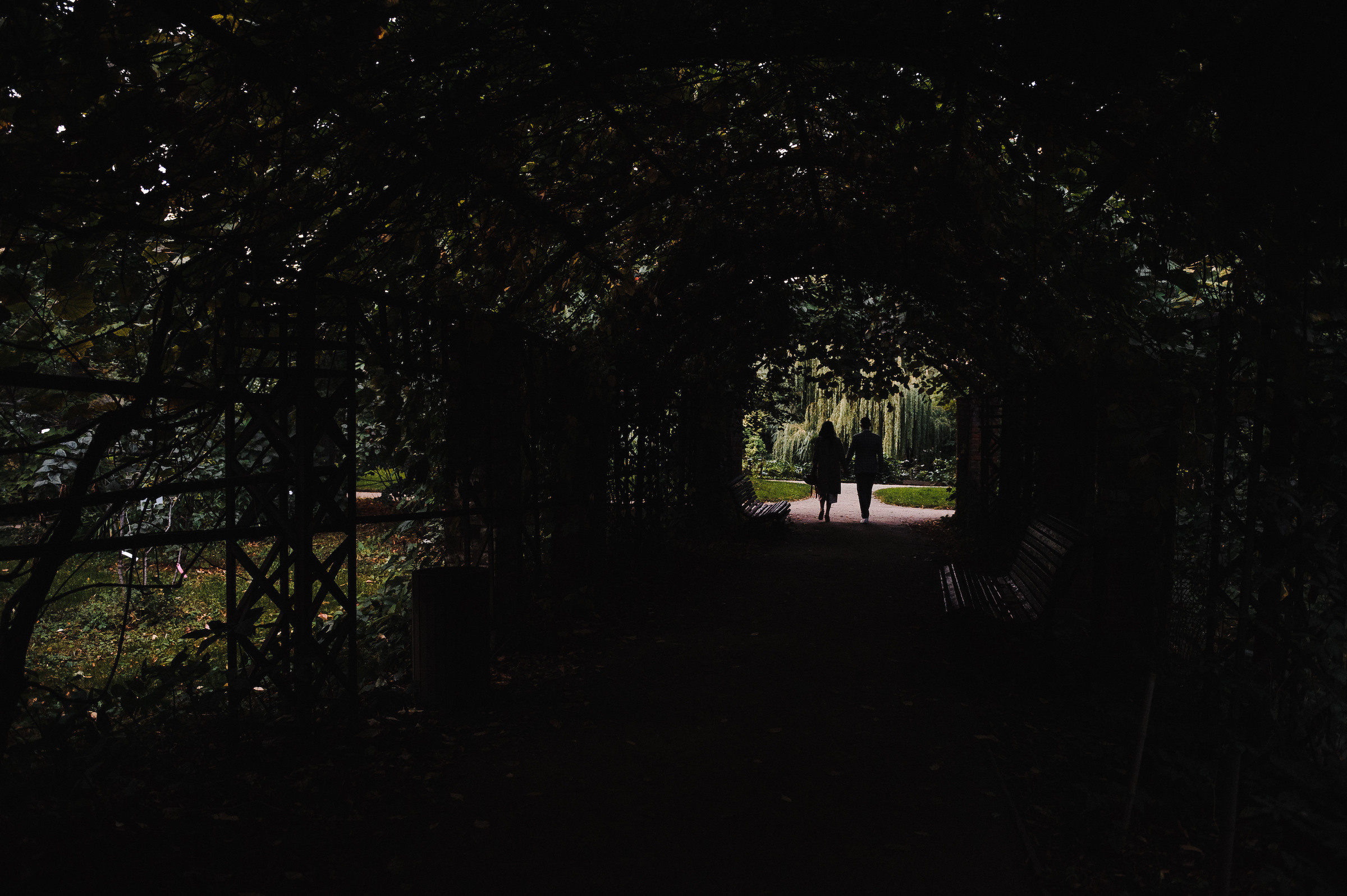 Андрей и Даша. Свадебный фотограф в Москве Алексей Тук
