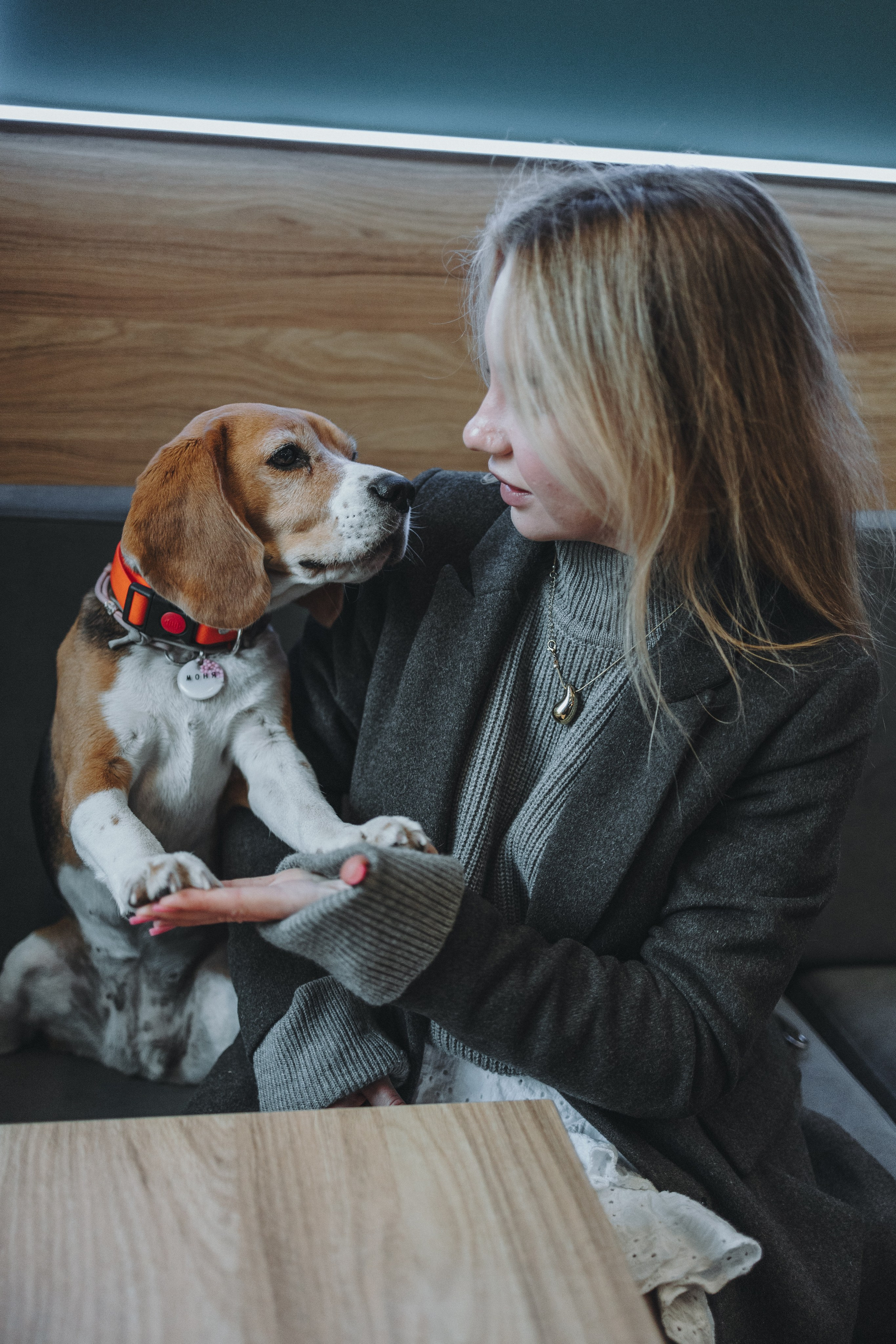 Аня и Моня. Фотограф — анималист Светлана Кысса|фотограф собак в Краснодаре и Нижнем Новгороде